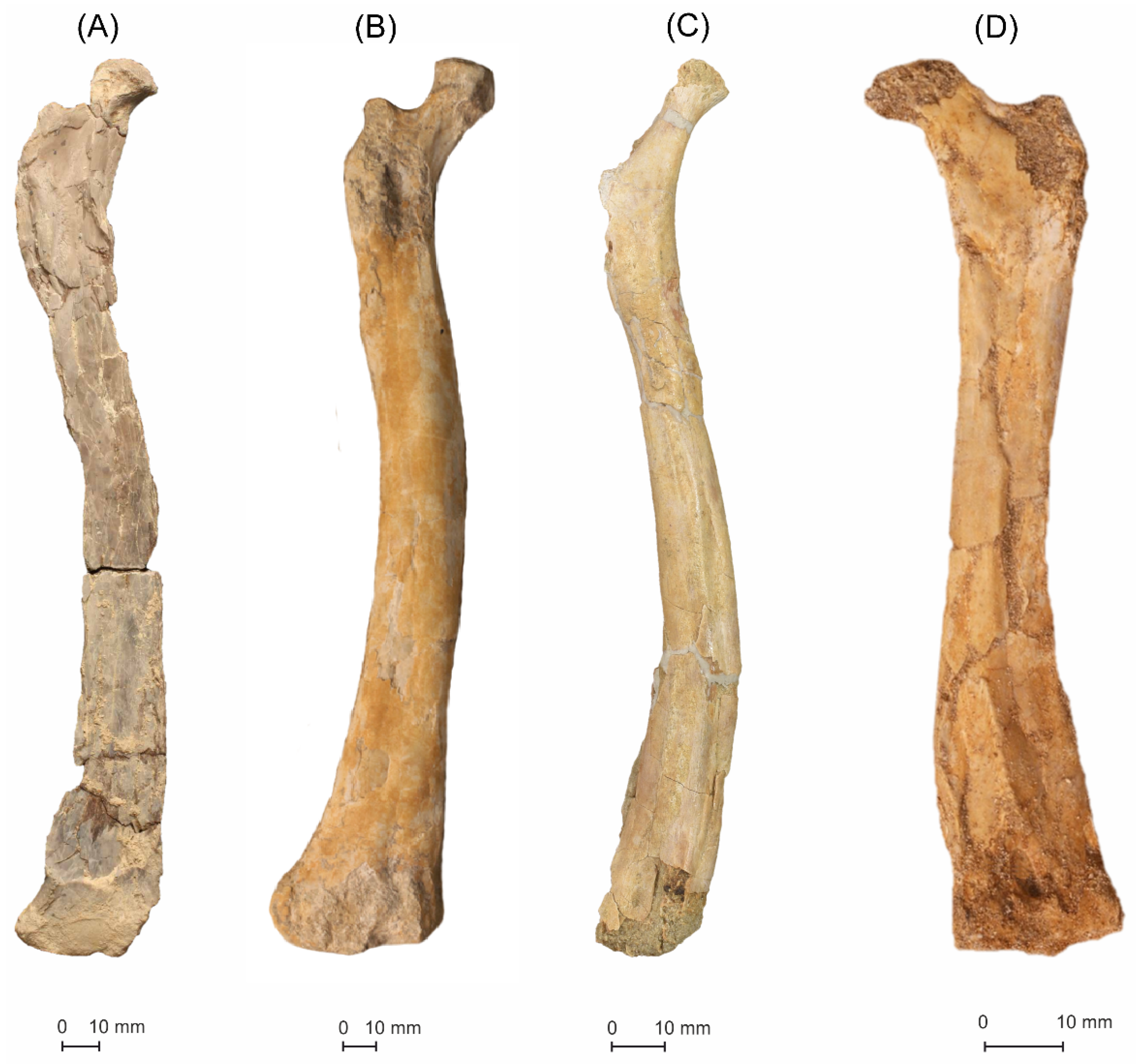 Diversity 14 00741 g014 550