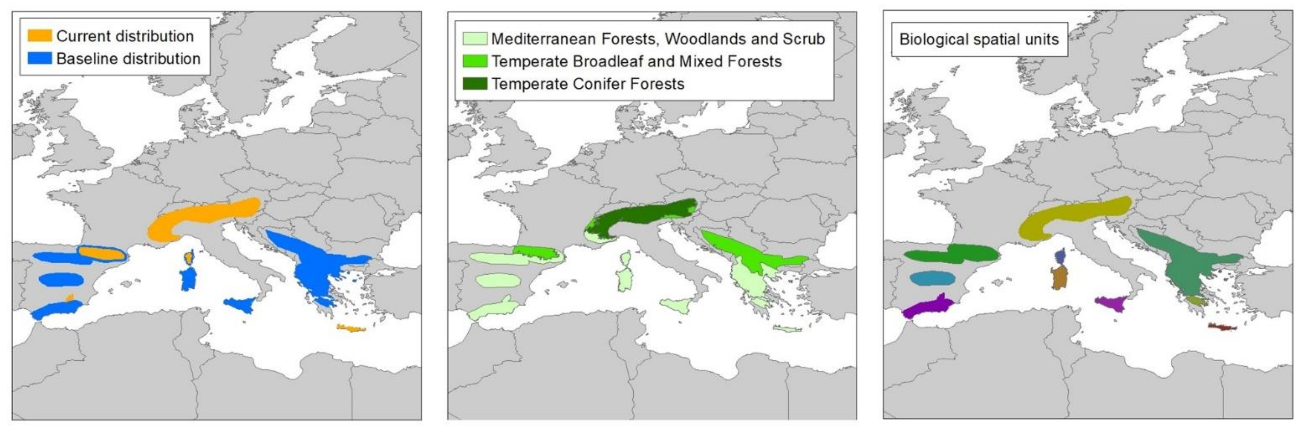 Diversity 14 00742 g006