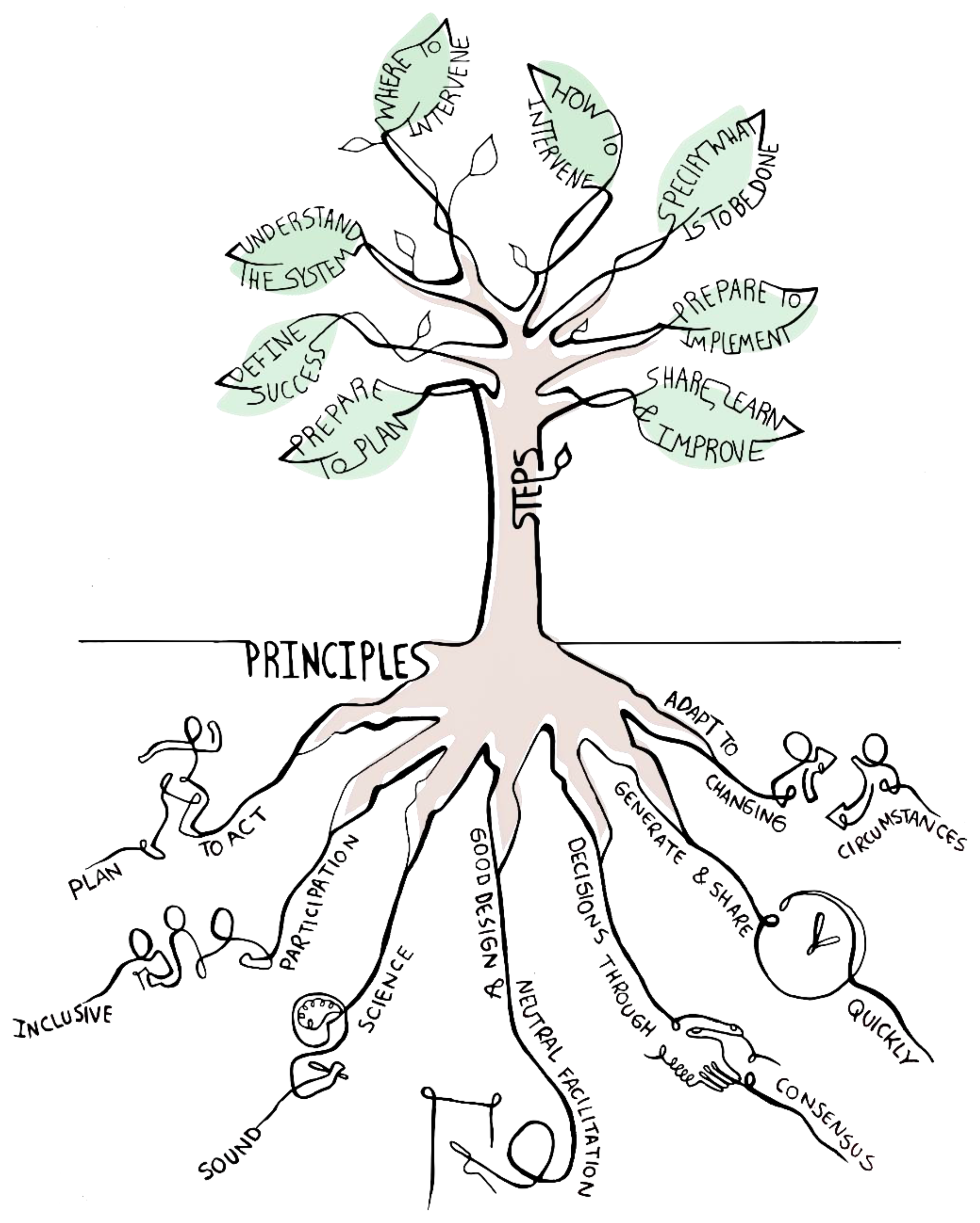 Diversity 14 00754 g001