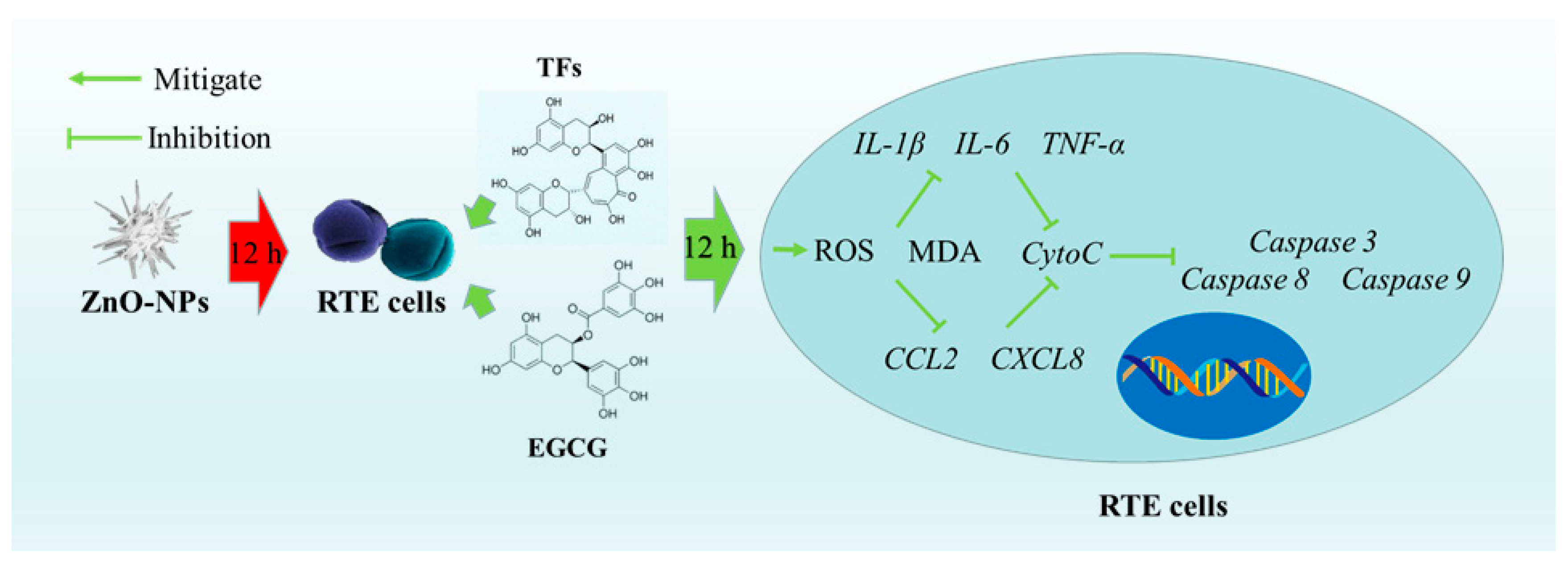 Diversity 14 00756 g006 550