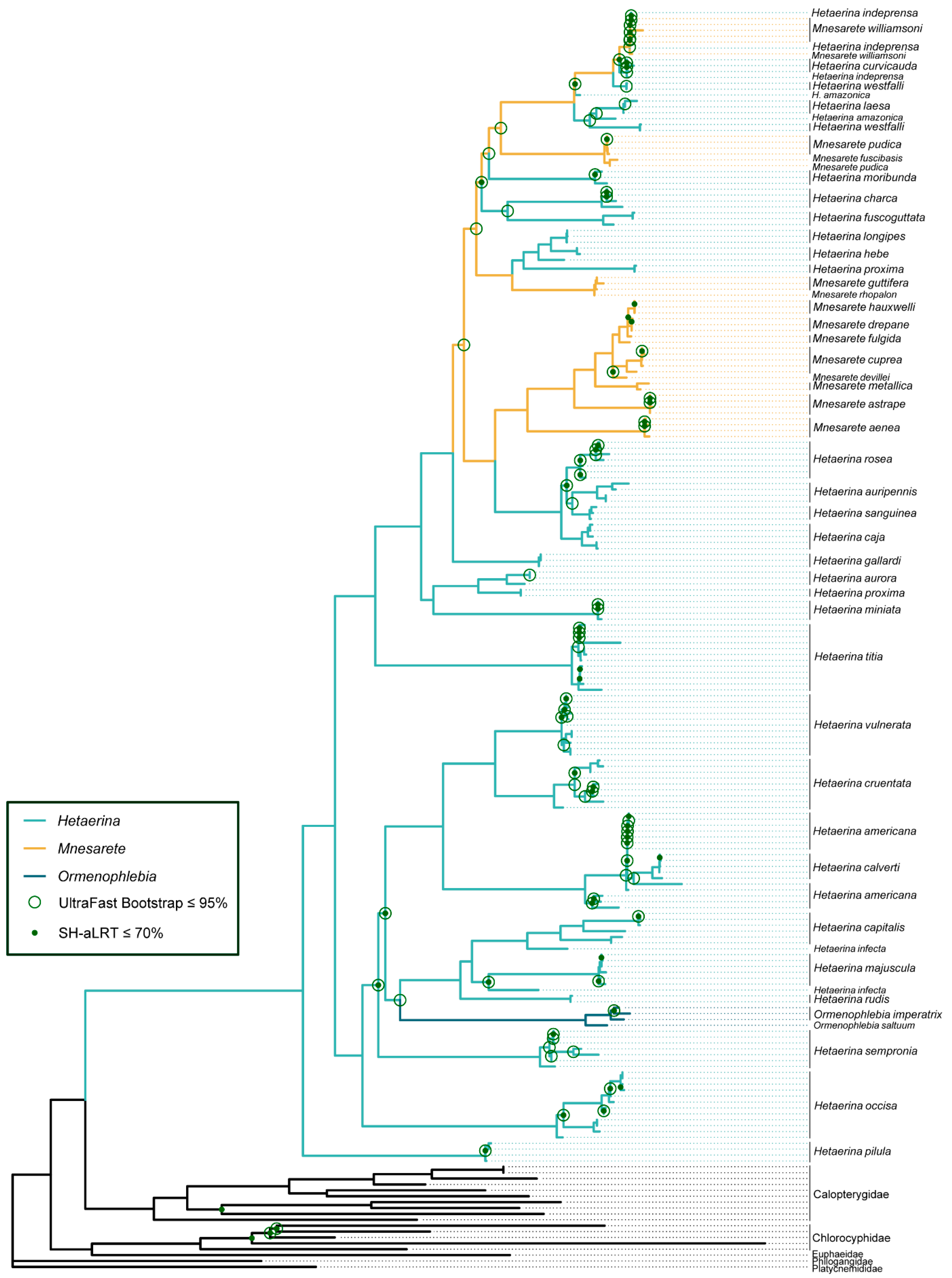 Diversity 14 00757 g002 Diversity 14 00757 g002