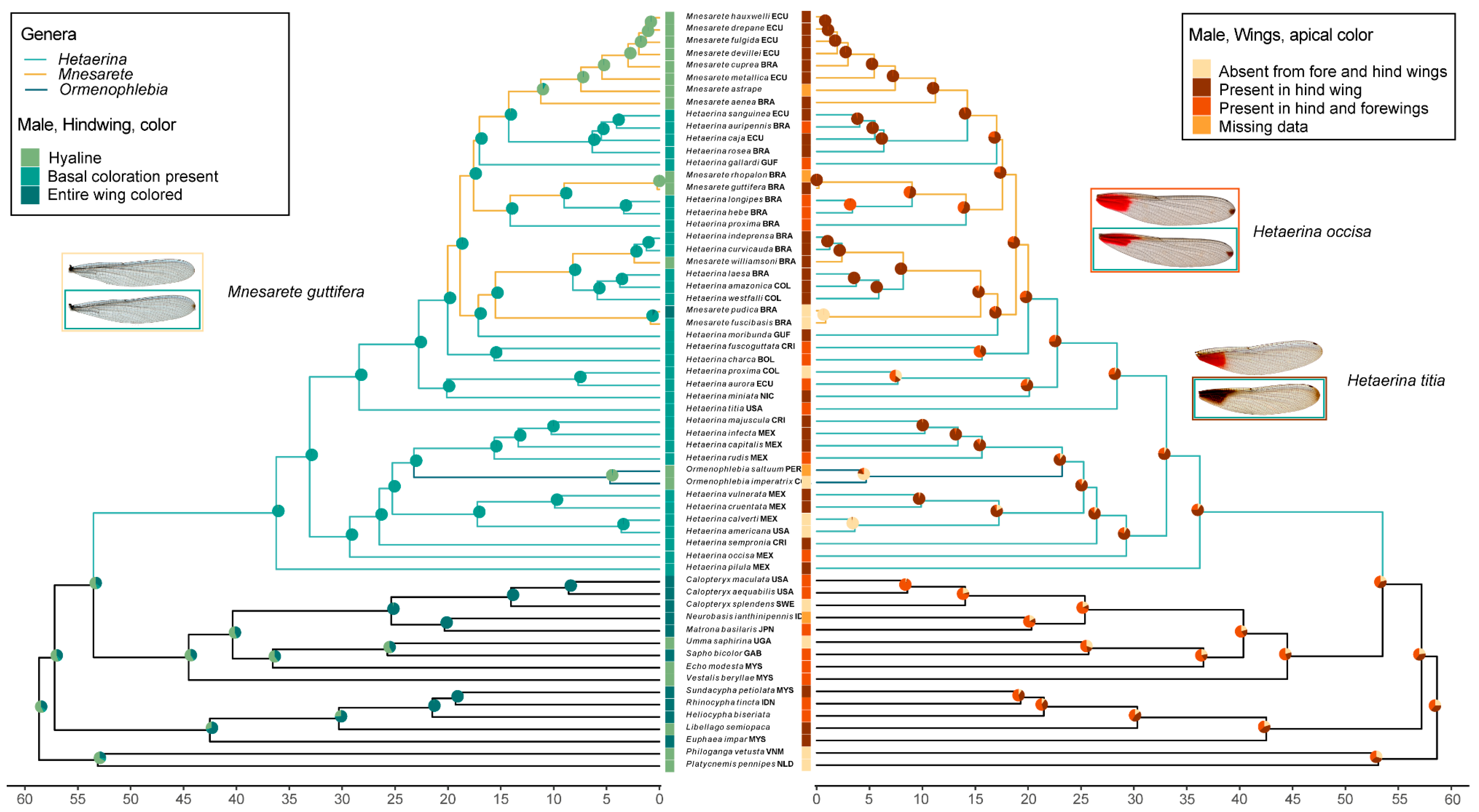 Diversity 14 00757 g004 Diversity 14 00757 g004