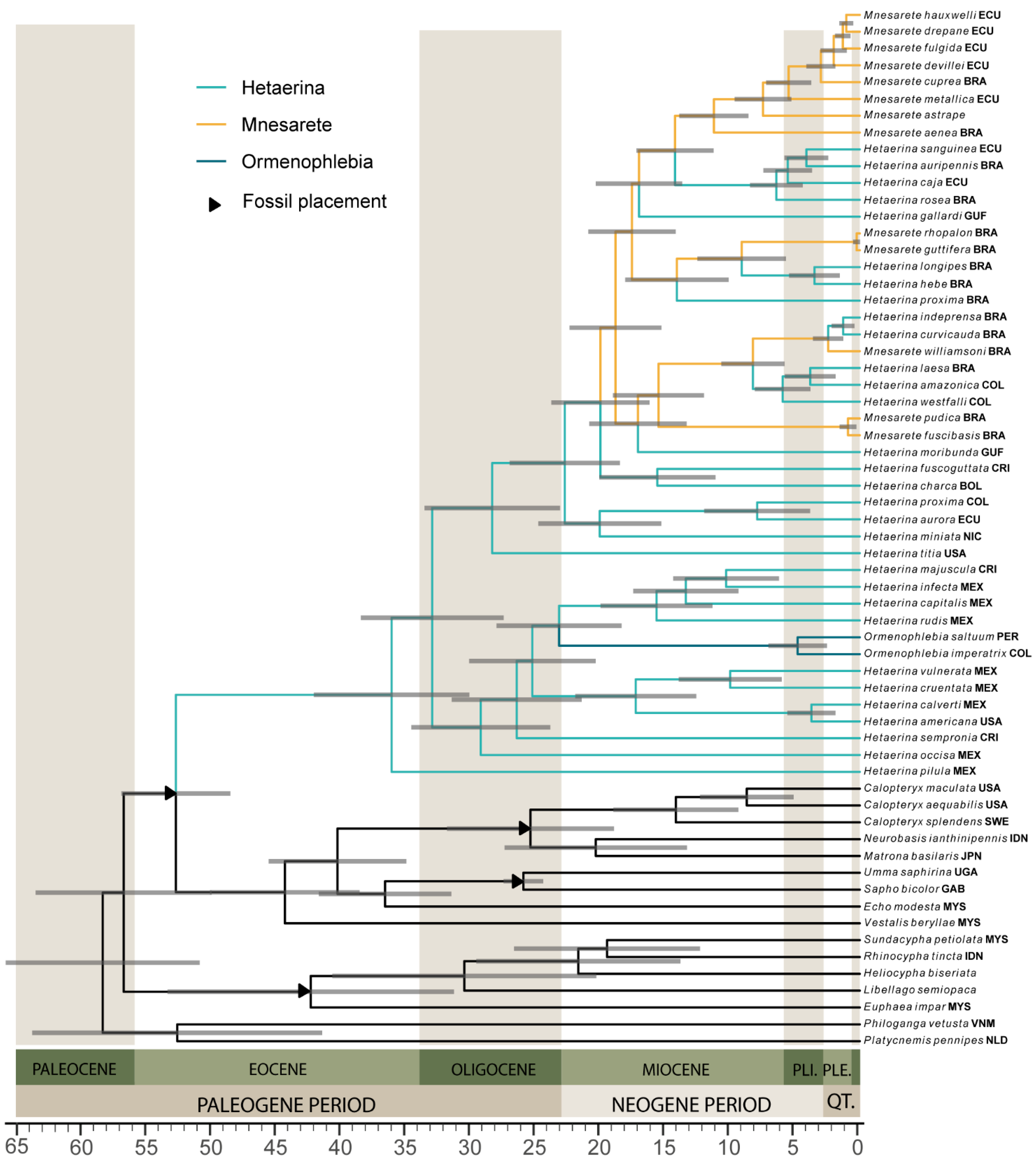 Diversity 14 00757 g005 Diversity 14 00757 g005
