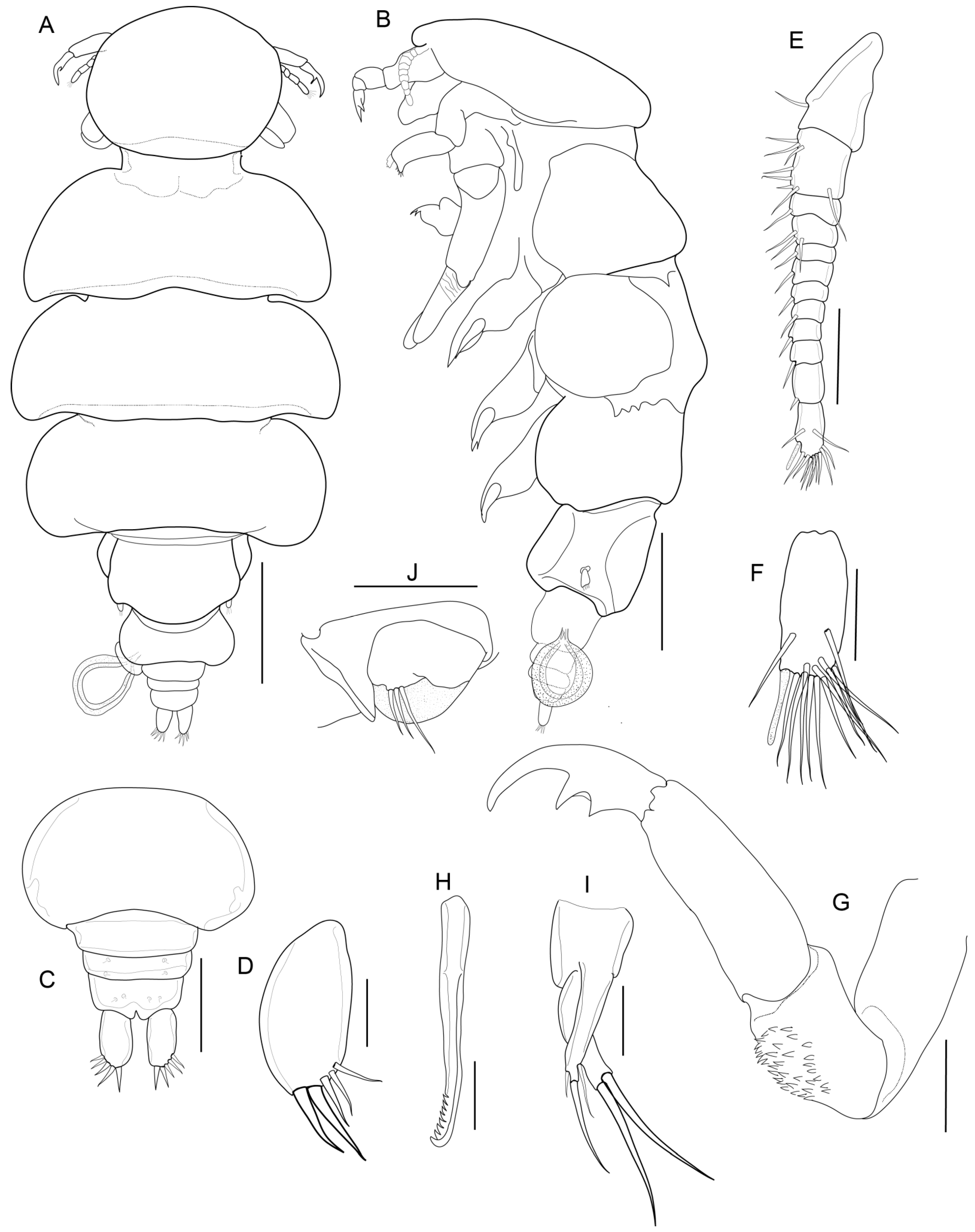 Diversity 14 00759 g002