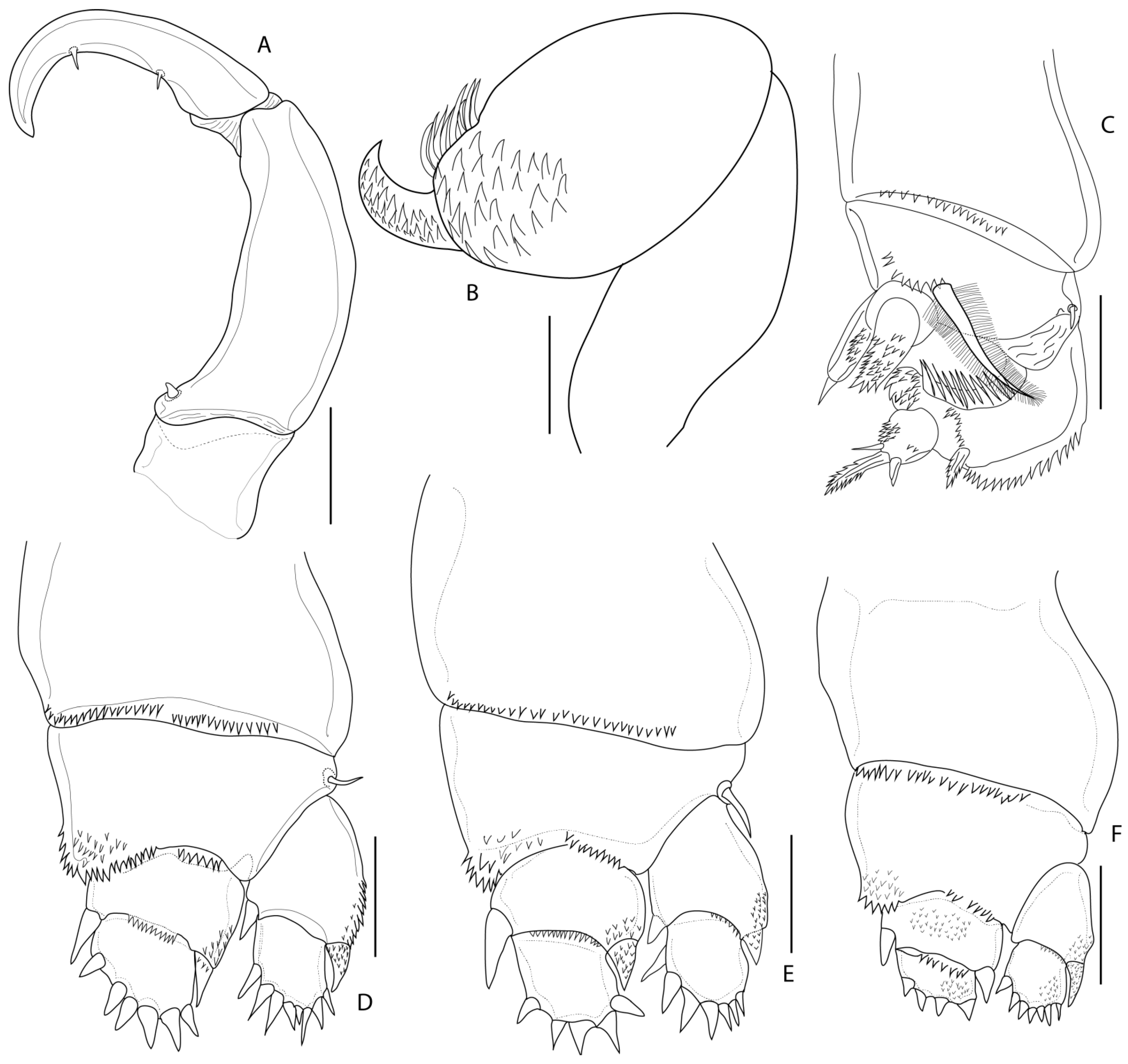 Diversity 14 00759 g004