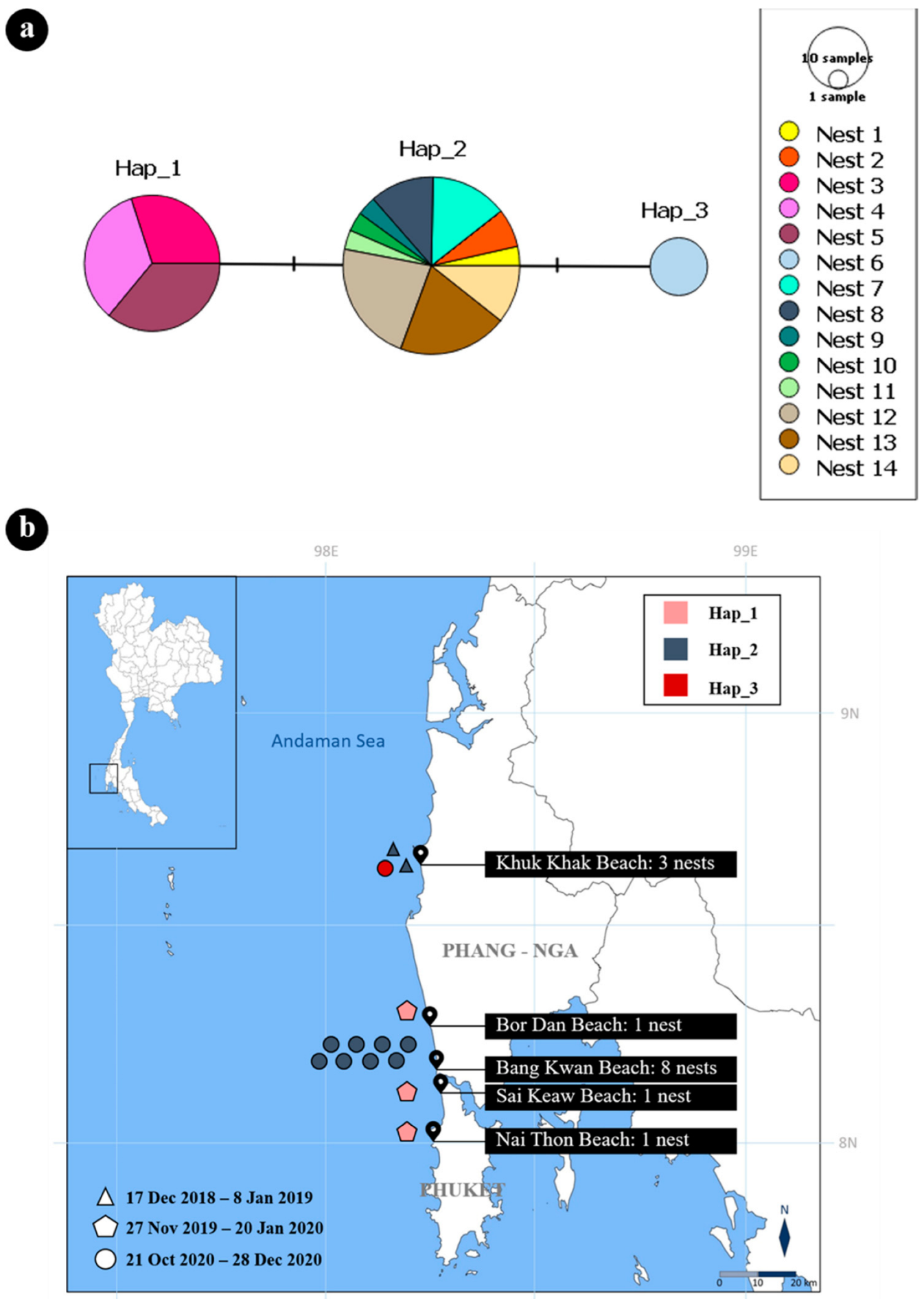Diversity 14 00764 g003 Diversity 14 00764 g003