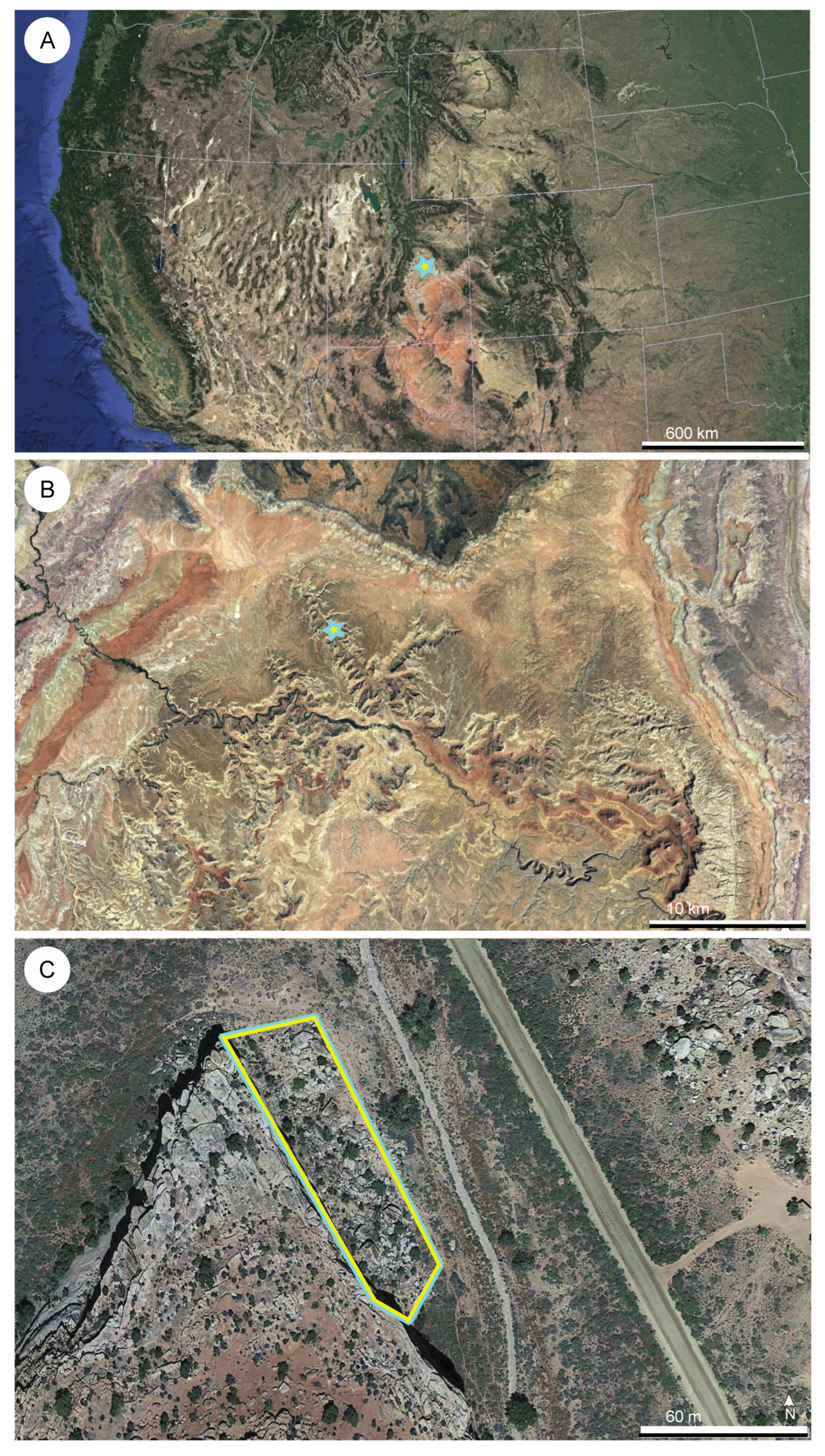 Diversity 14 00766 g002 Diversity 14 00766 g002