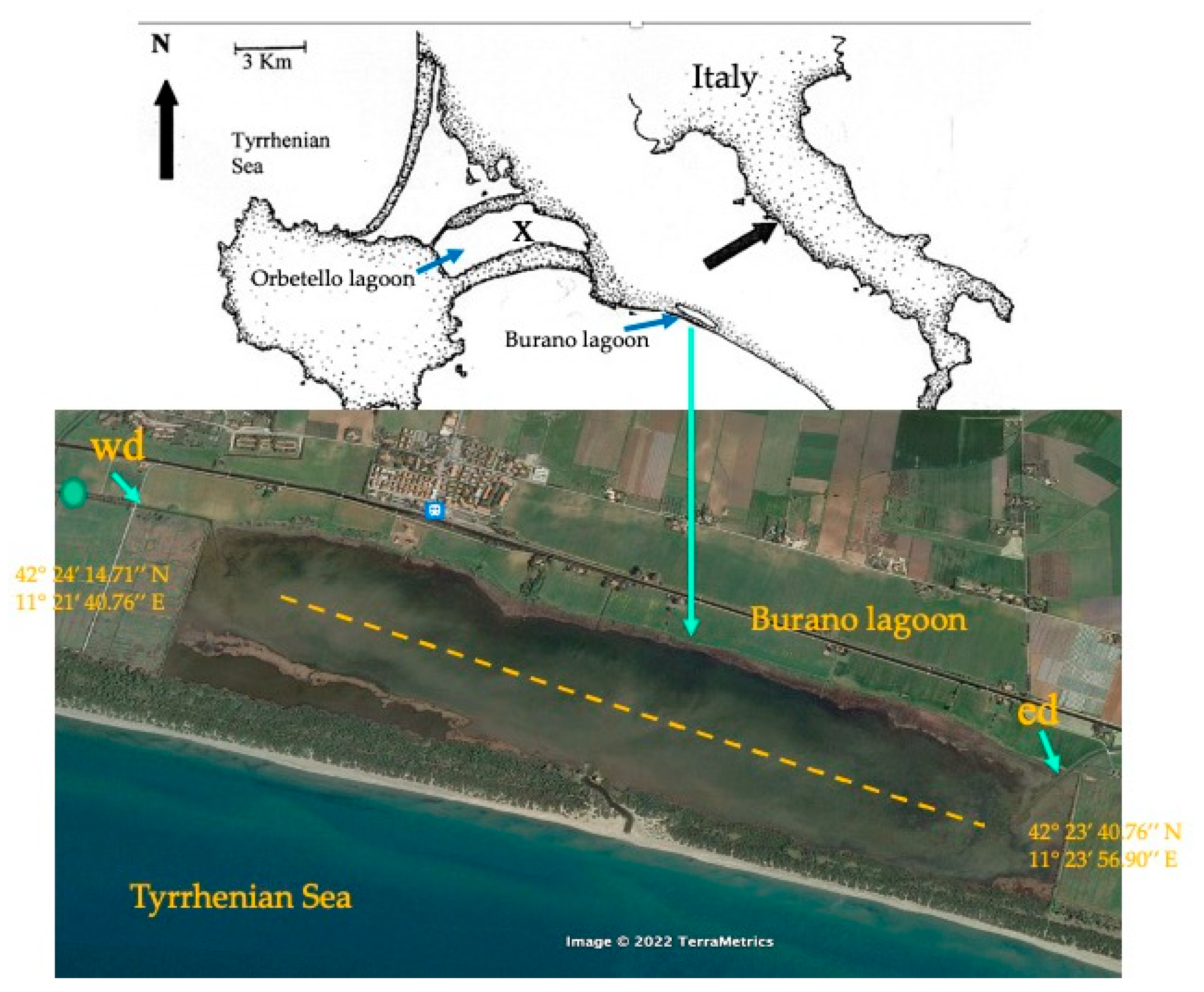 Diversity 14 00771 g004