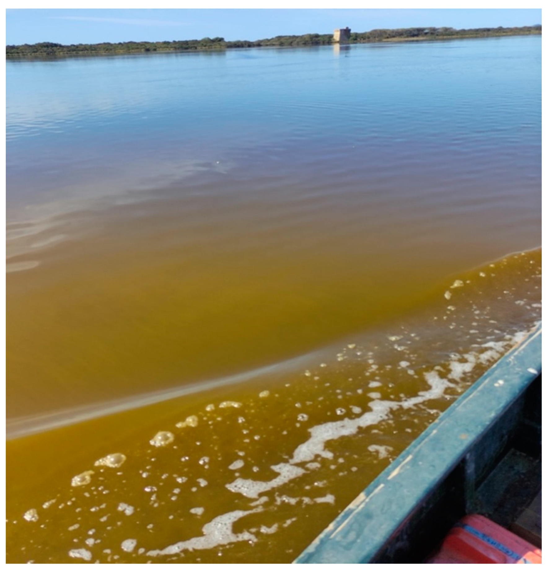 Diversity 14 00771 g008