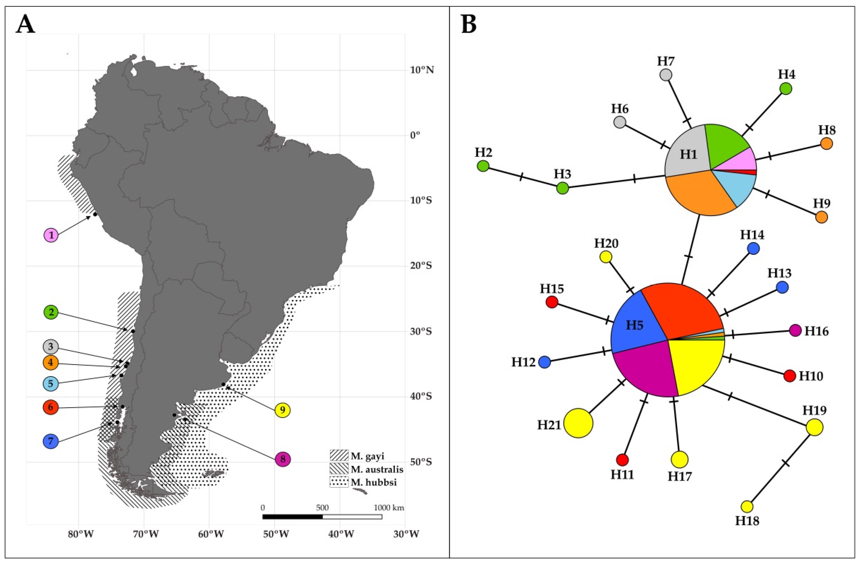 Diversity 14 00772 g001 Diversity 14 00772 g001