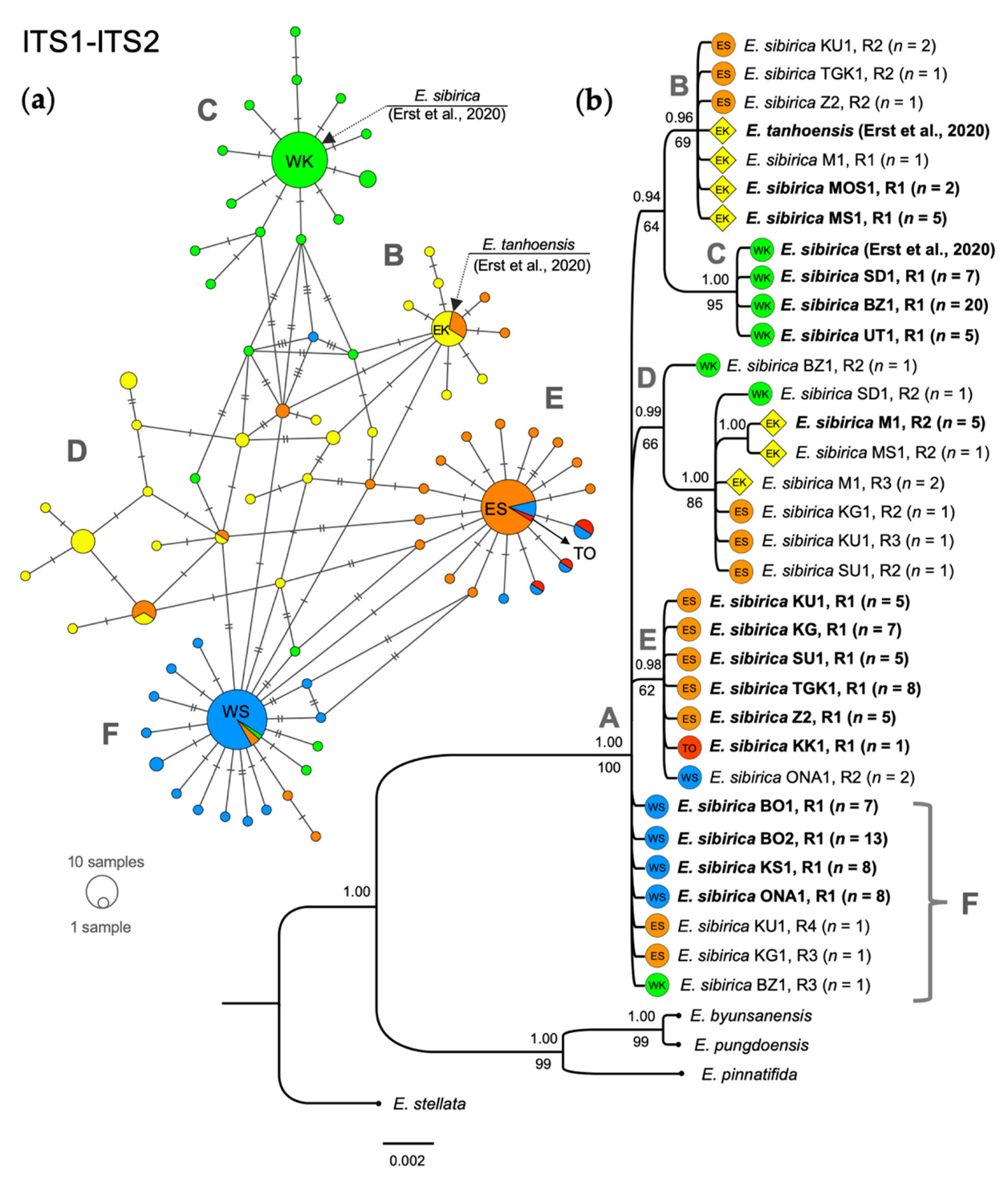 Diversity 14 00779 g002