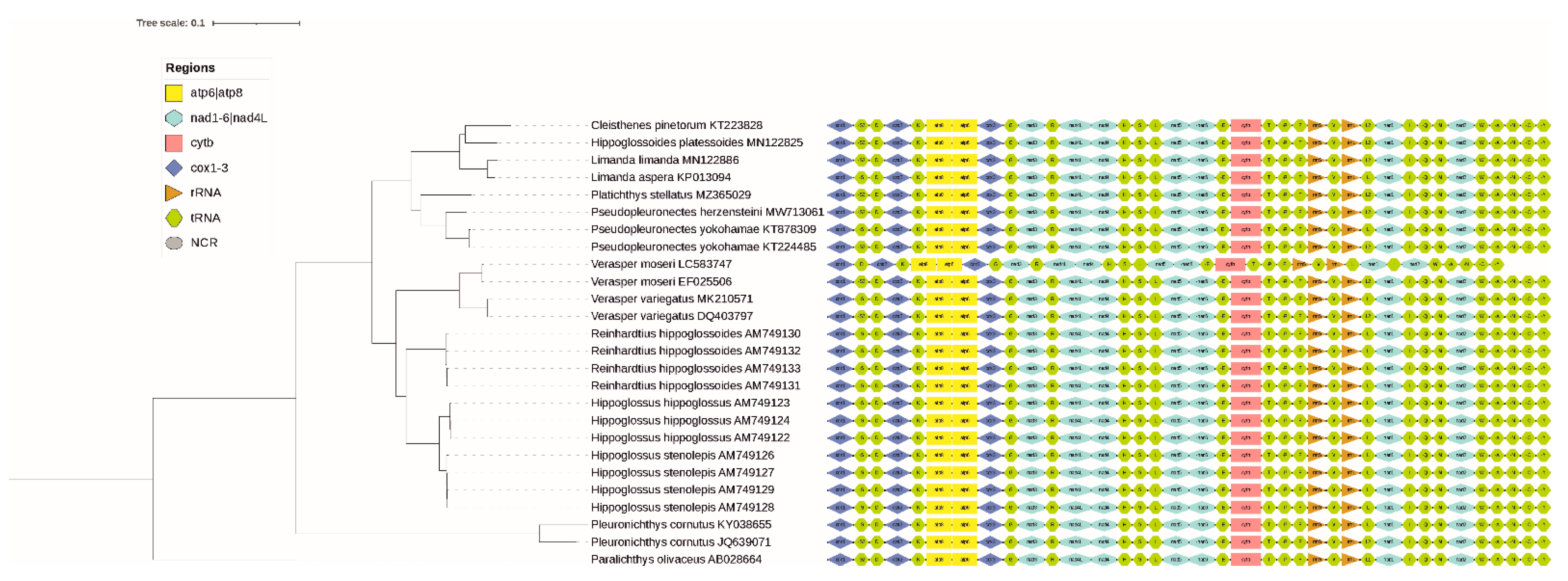 Diversity 14 00805 g002 Diversity 14 00805 g002