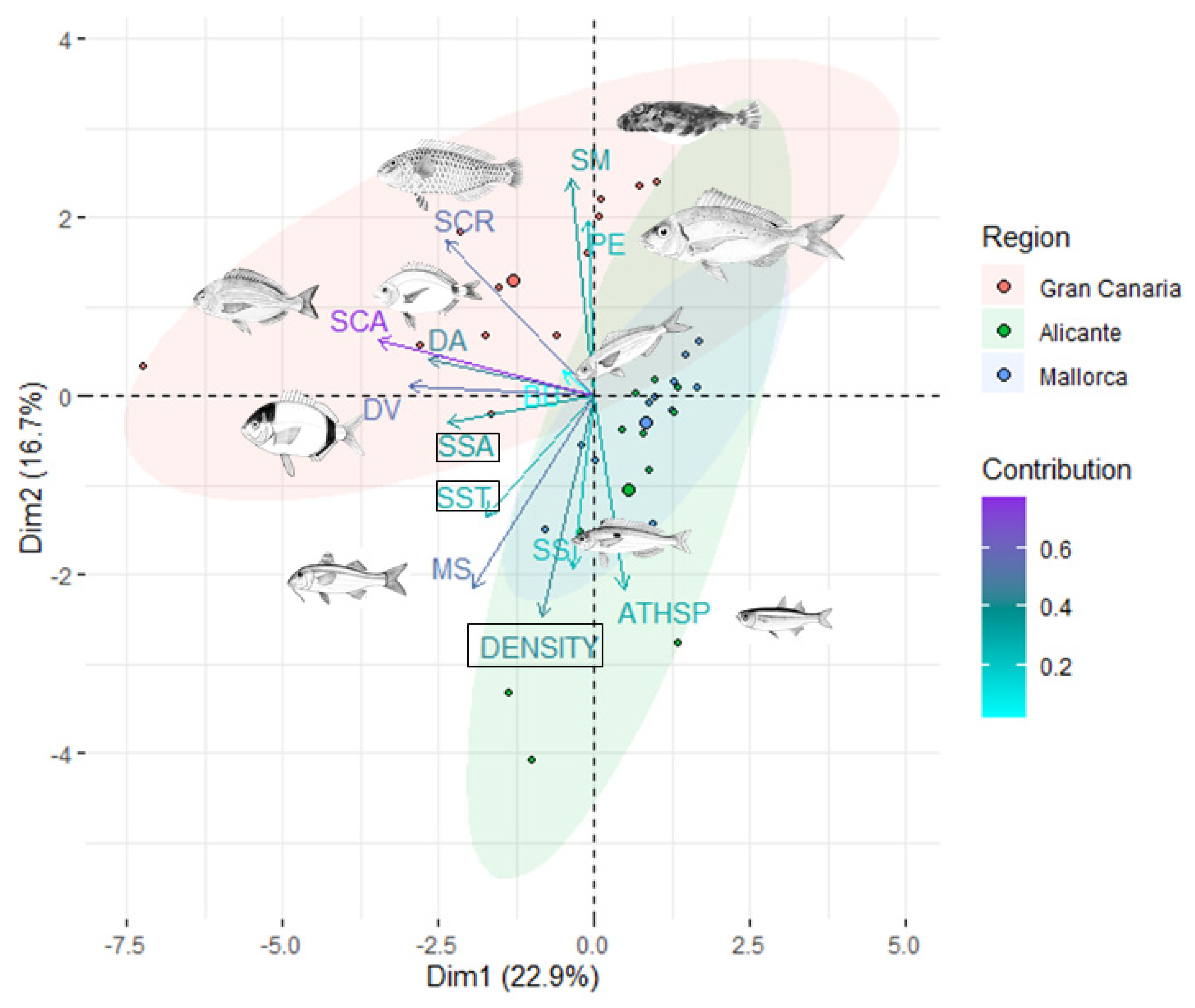 Diversity 14 00808 g006 Diversity 14 00808 g006