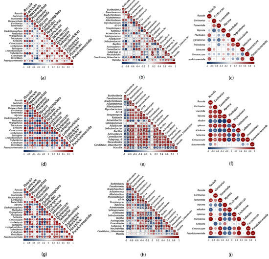 Ectomycorrhizospheric Microbiome Assembly Rules of Quercus