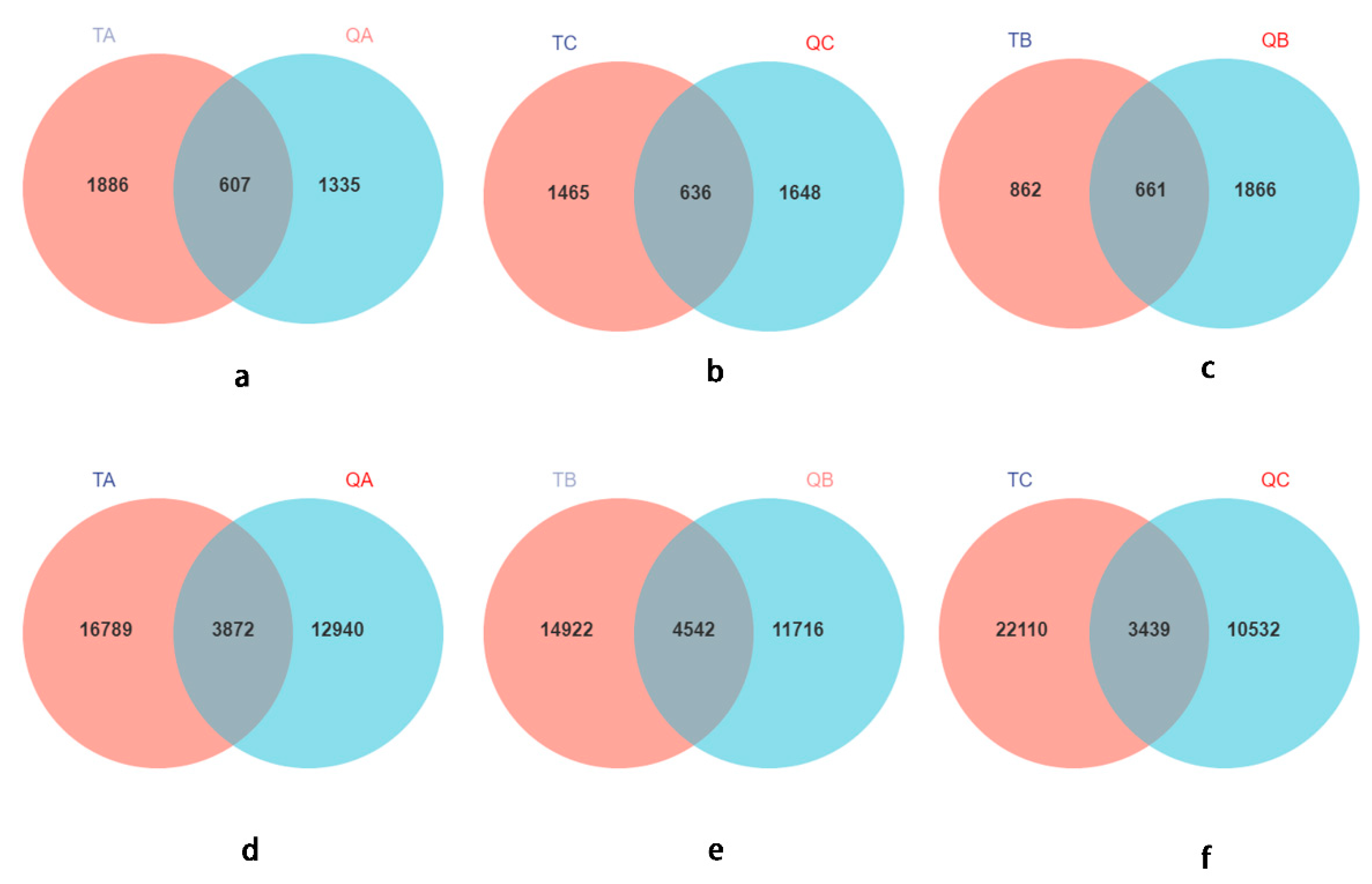Diversity | Free Full-Text | Ectomycorrhizospheric Microbiome 