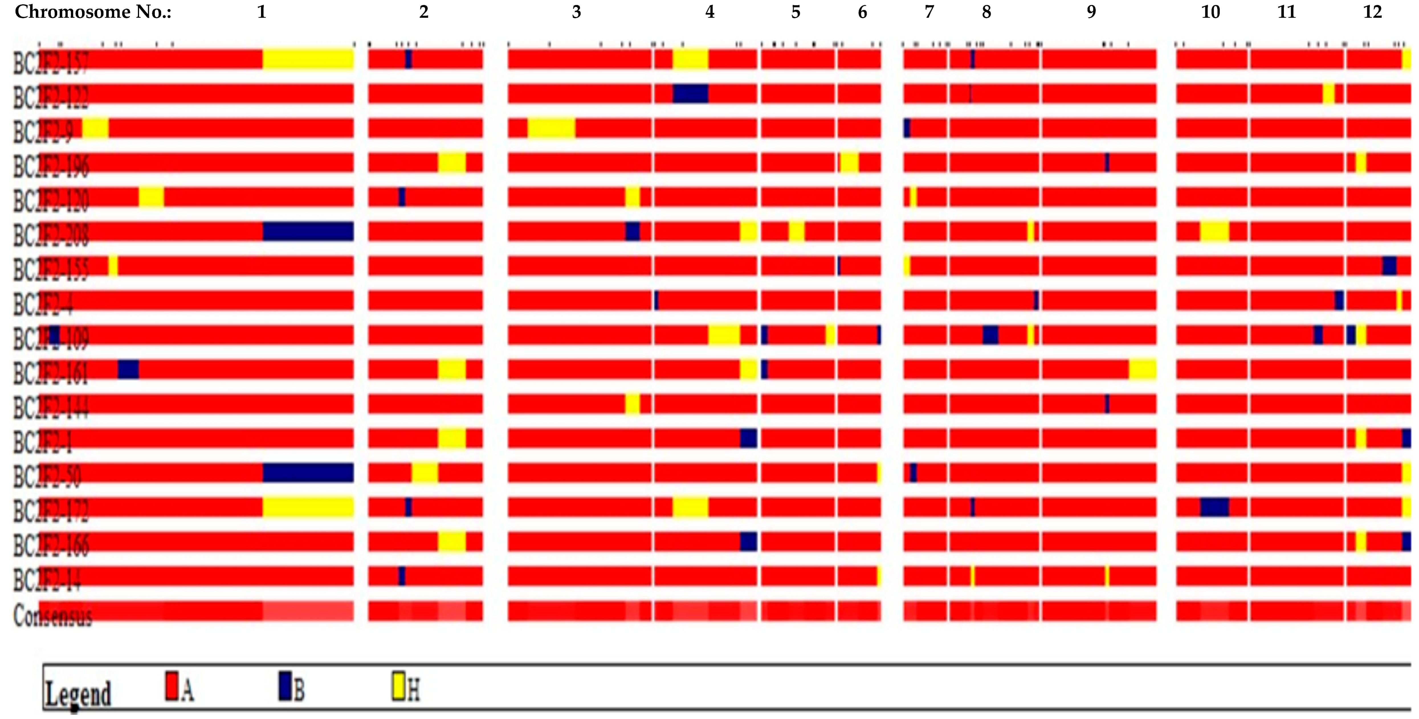 Diversity 14 00812 g001 Diversity 14 00812 g001