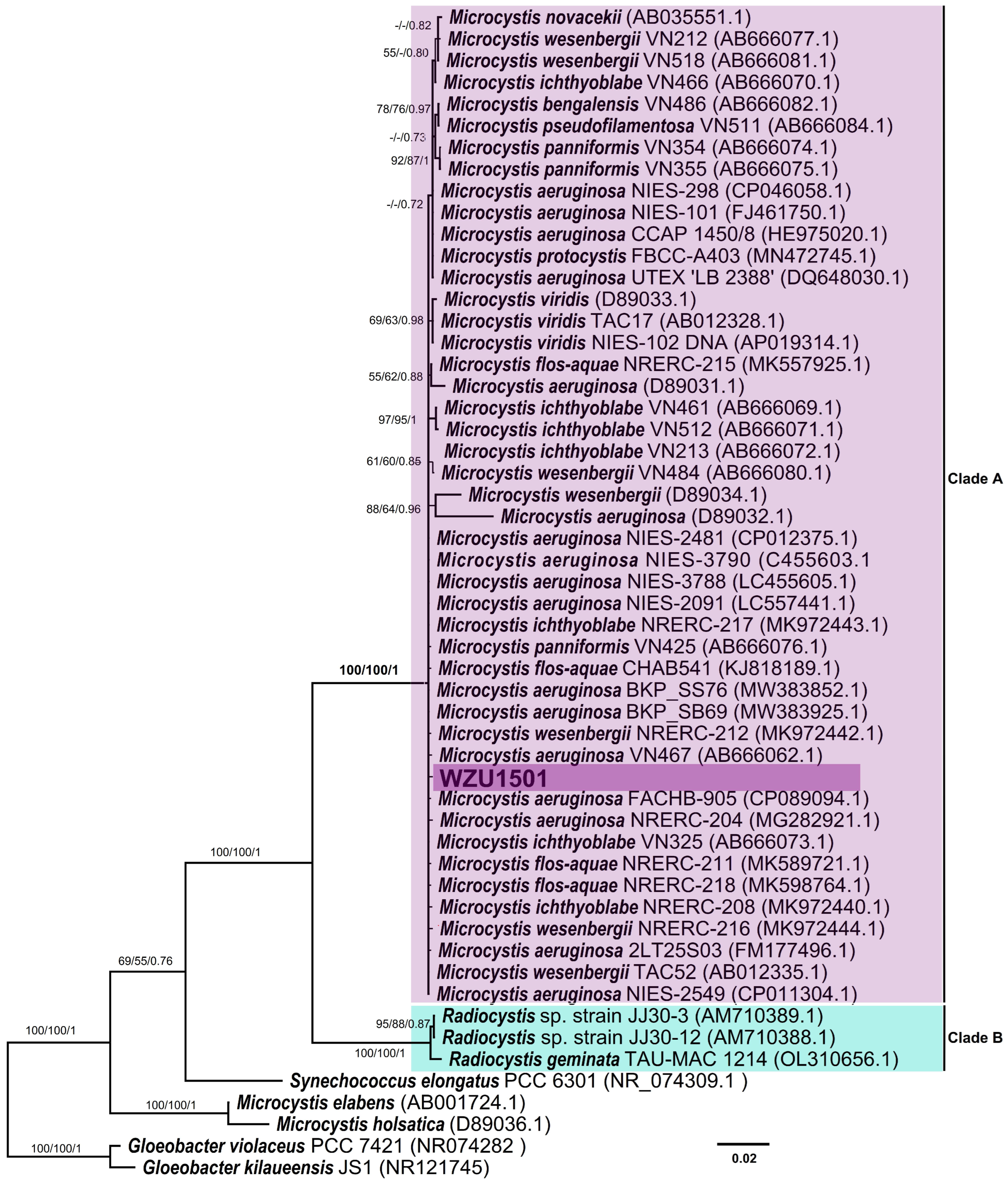 Diversity 14 00816 g002 Diversity 14 00816 g002