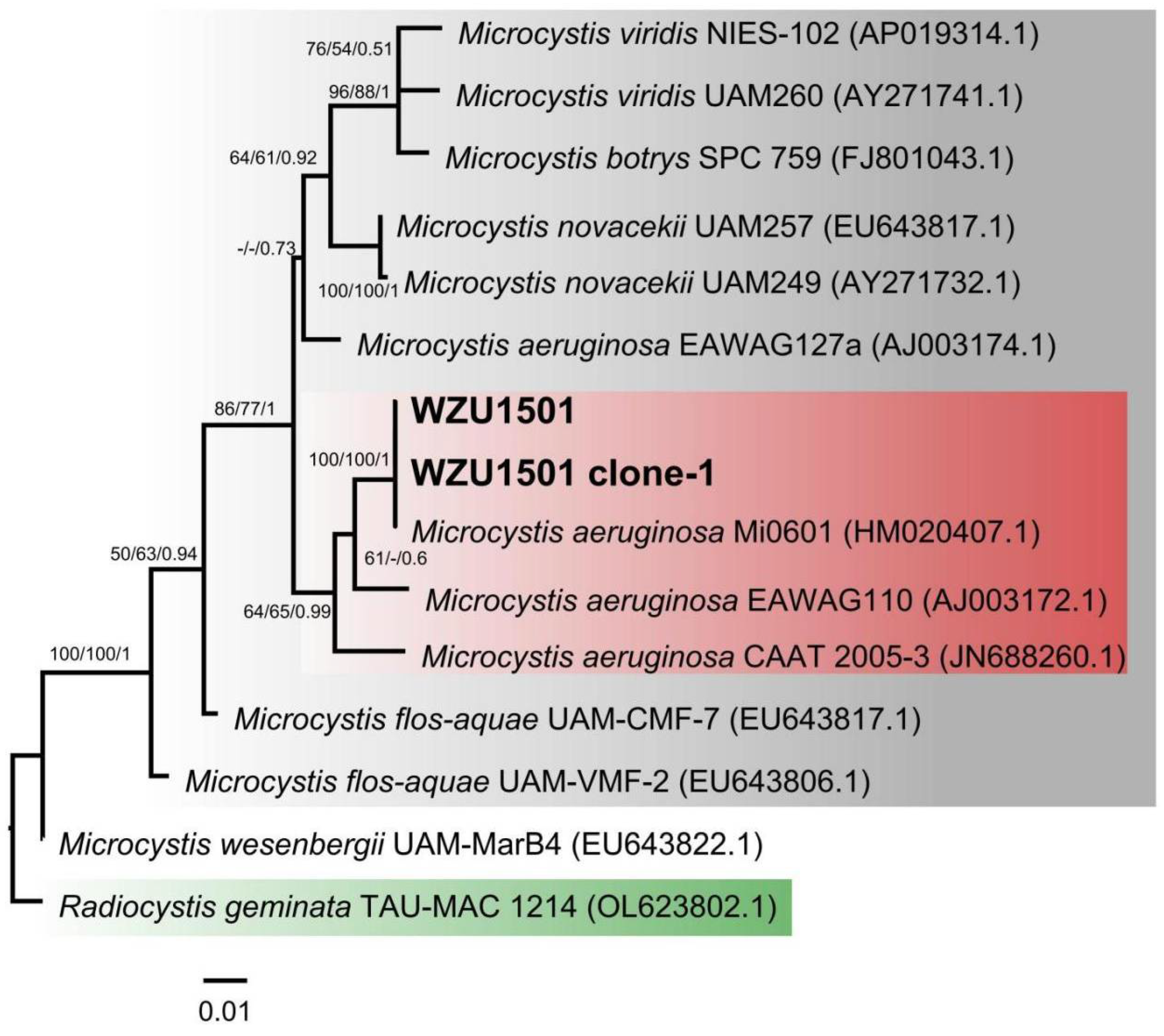 Diversity 14 00816 g003 Diversity 14 00816 g003