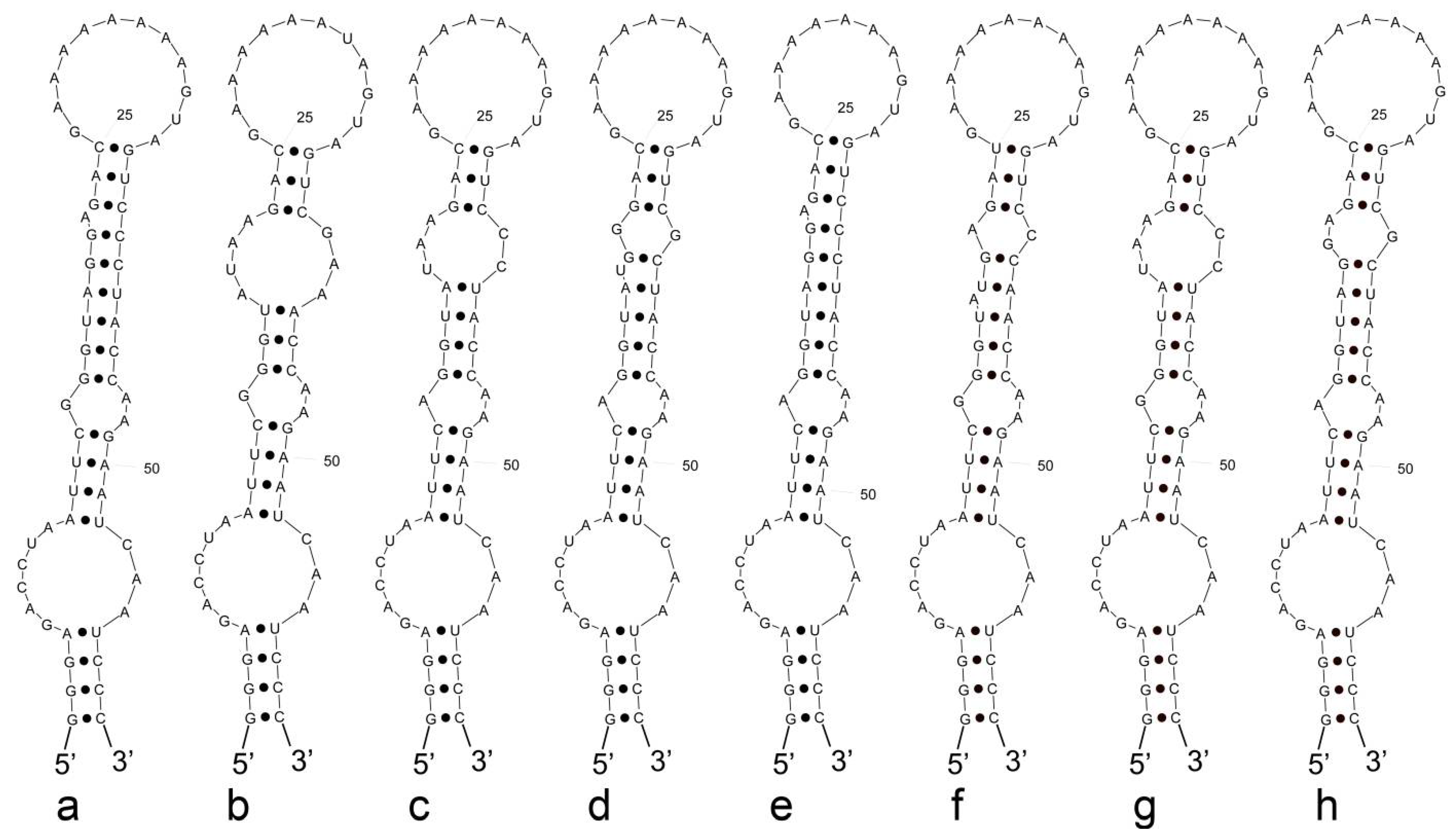 Diversity 14 00816 g004 Diversity 14 00816 g004