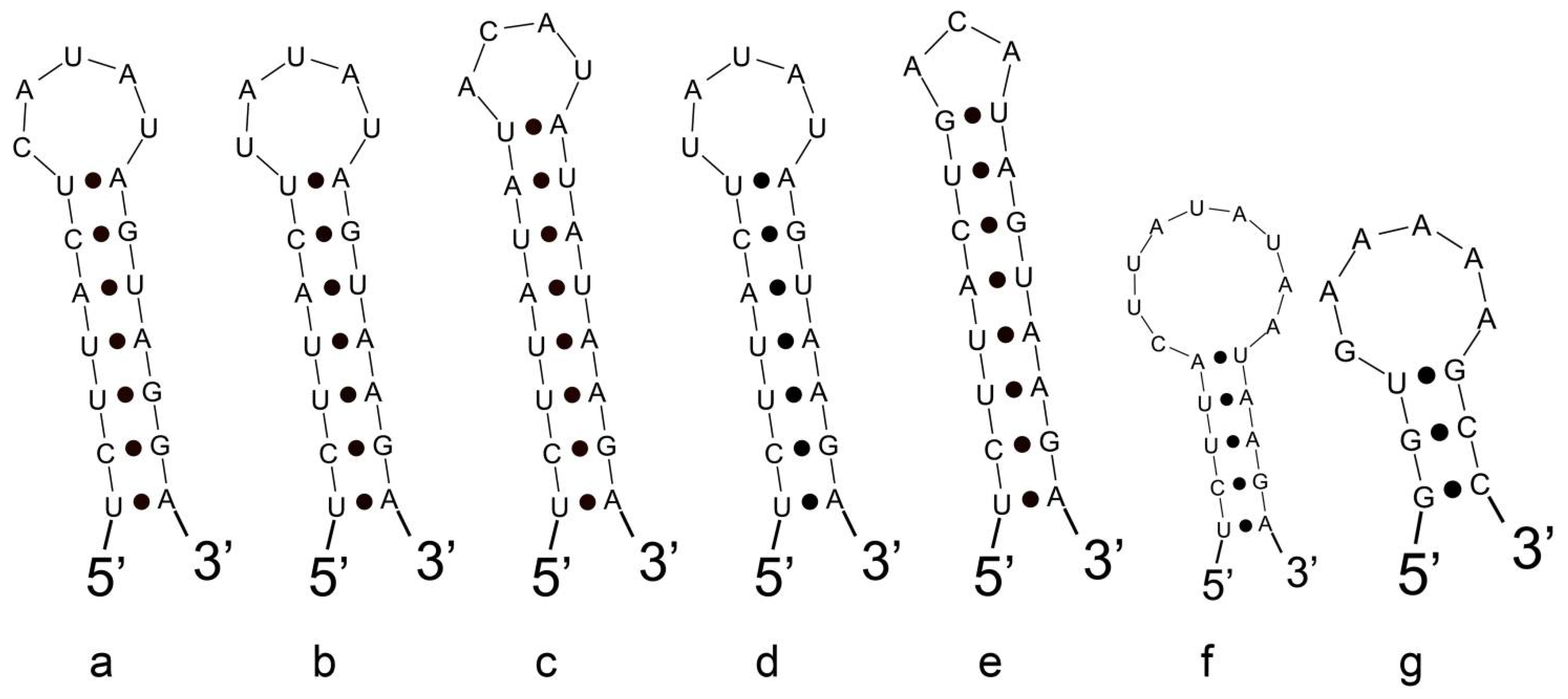 Diversity 14 00816 g005 Diversity 14 00816 g005