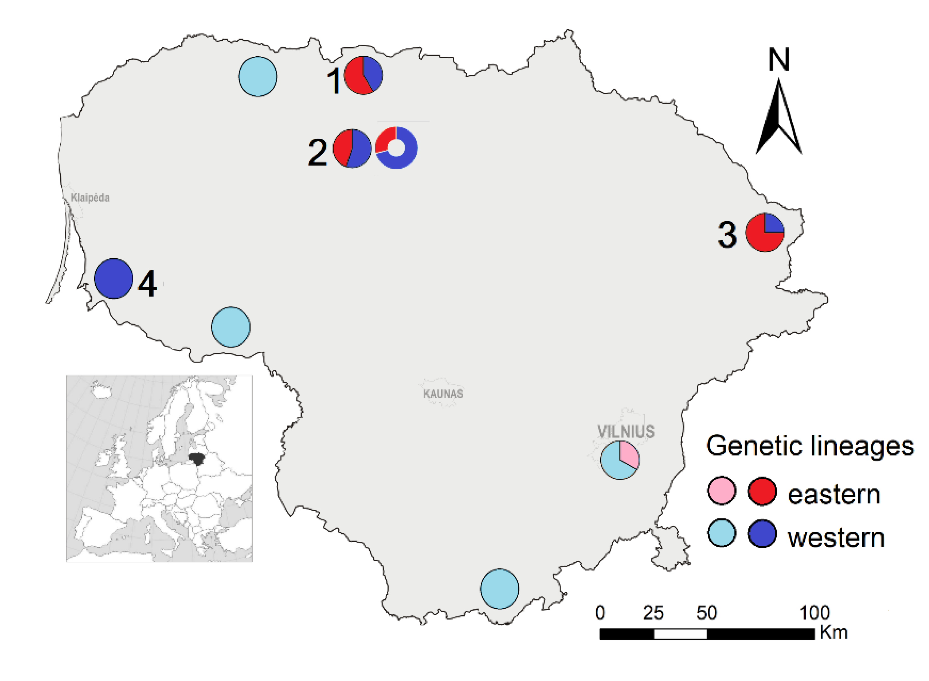 Diversity 14 00820 g001