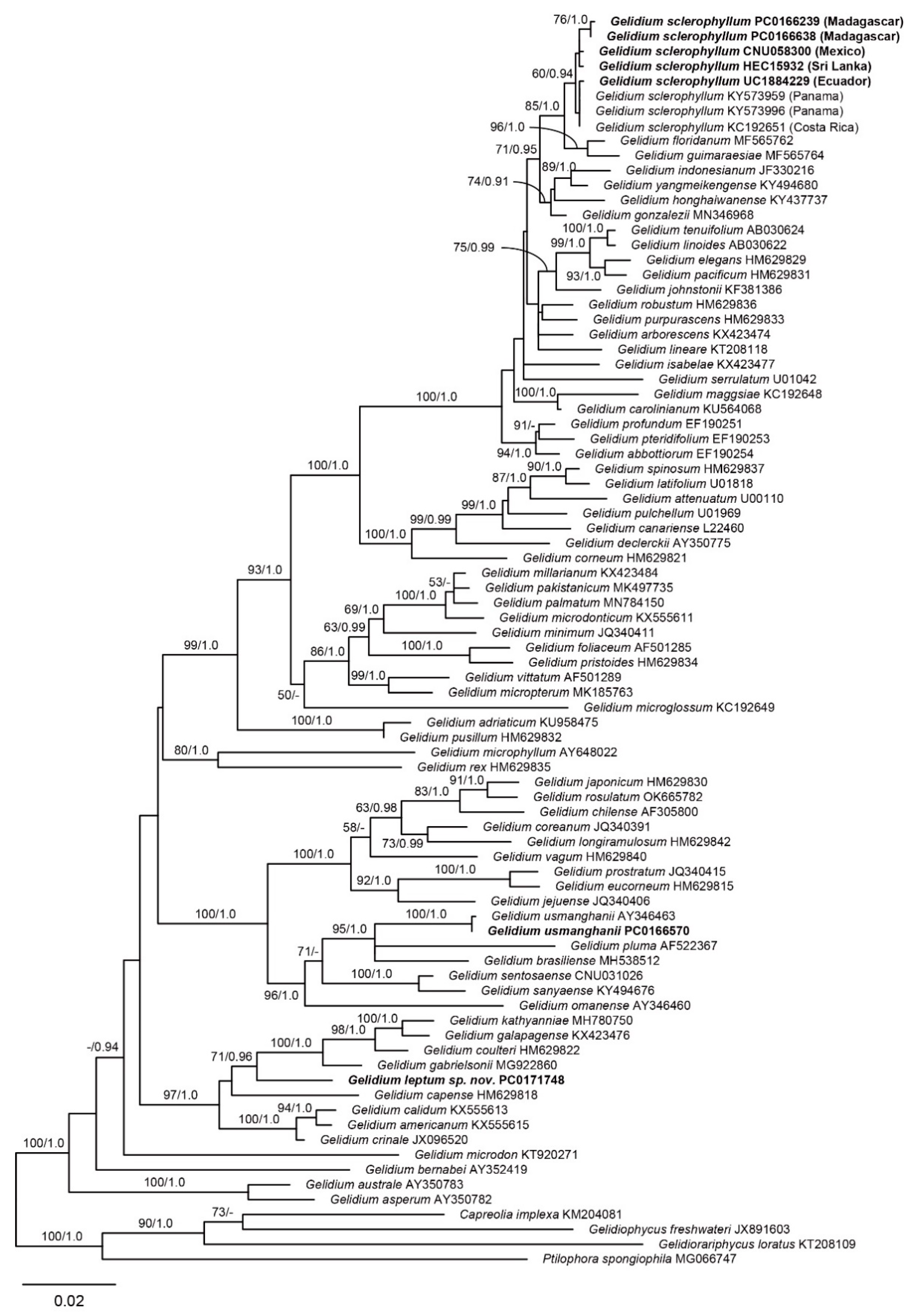 Diversity 14 00826 g001
