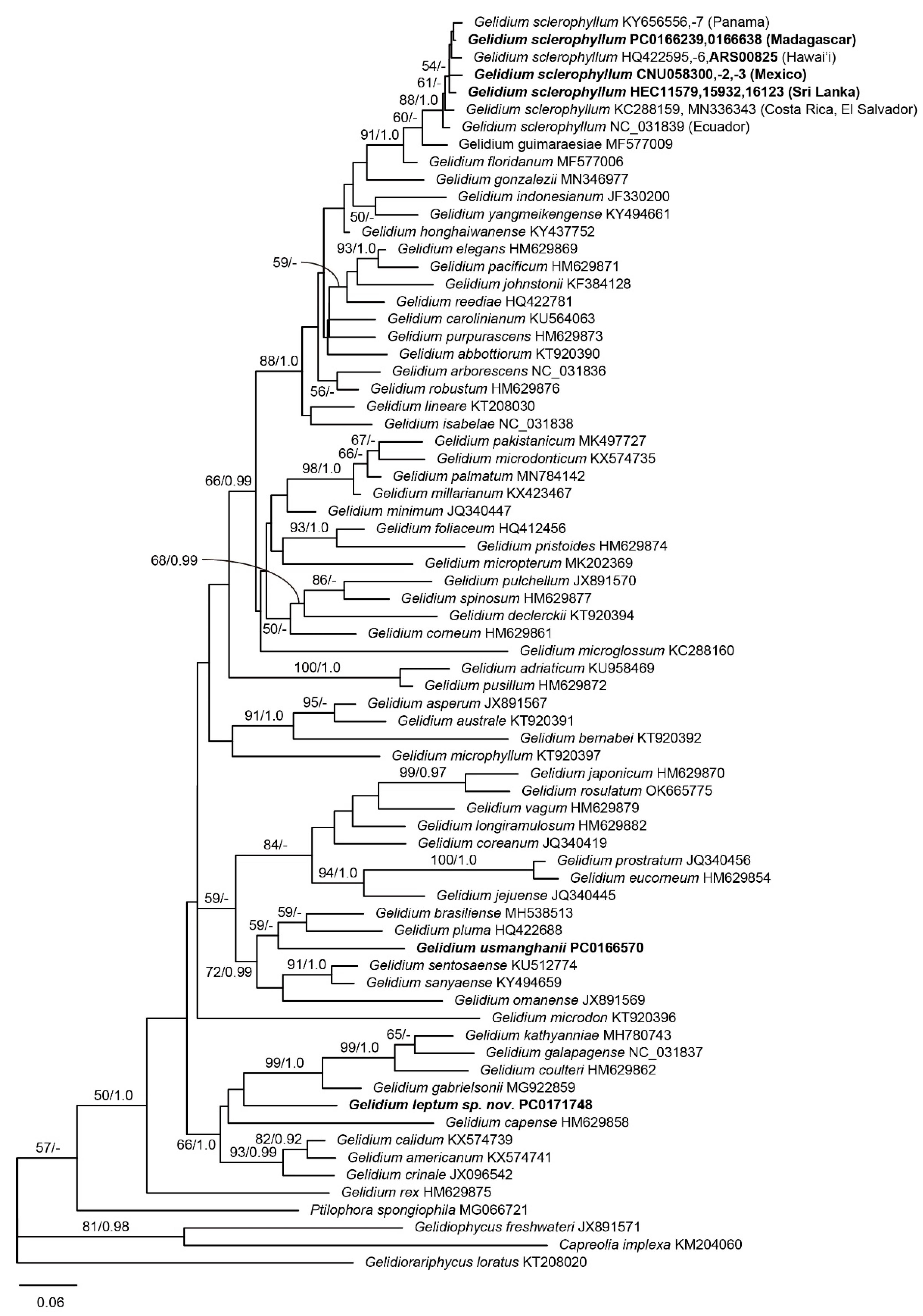 Diversity 14 00826 g002