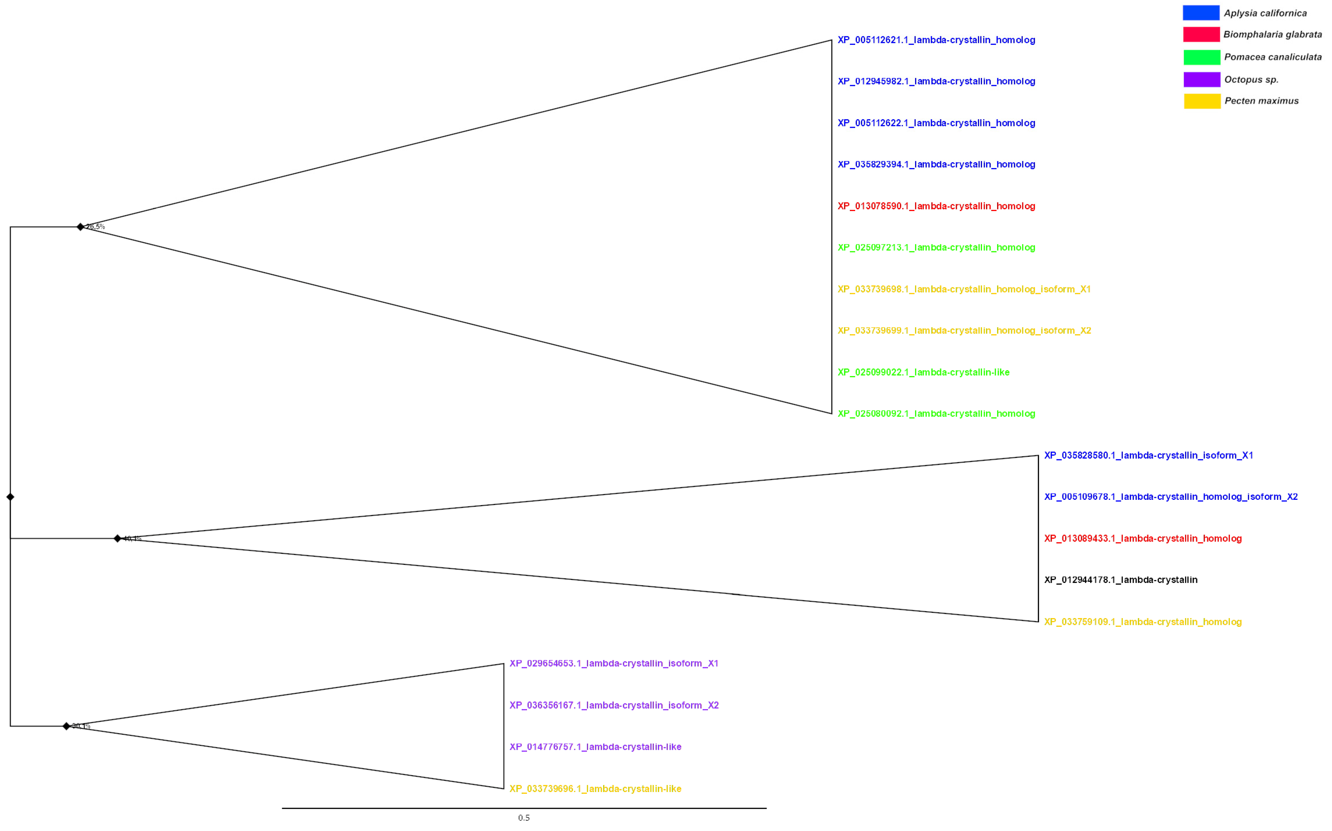 Diversity 14 00827 g007