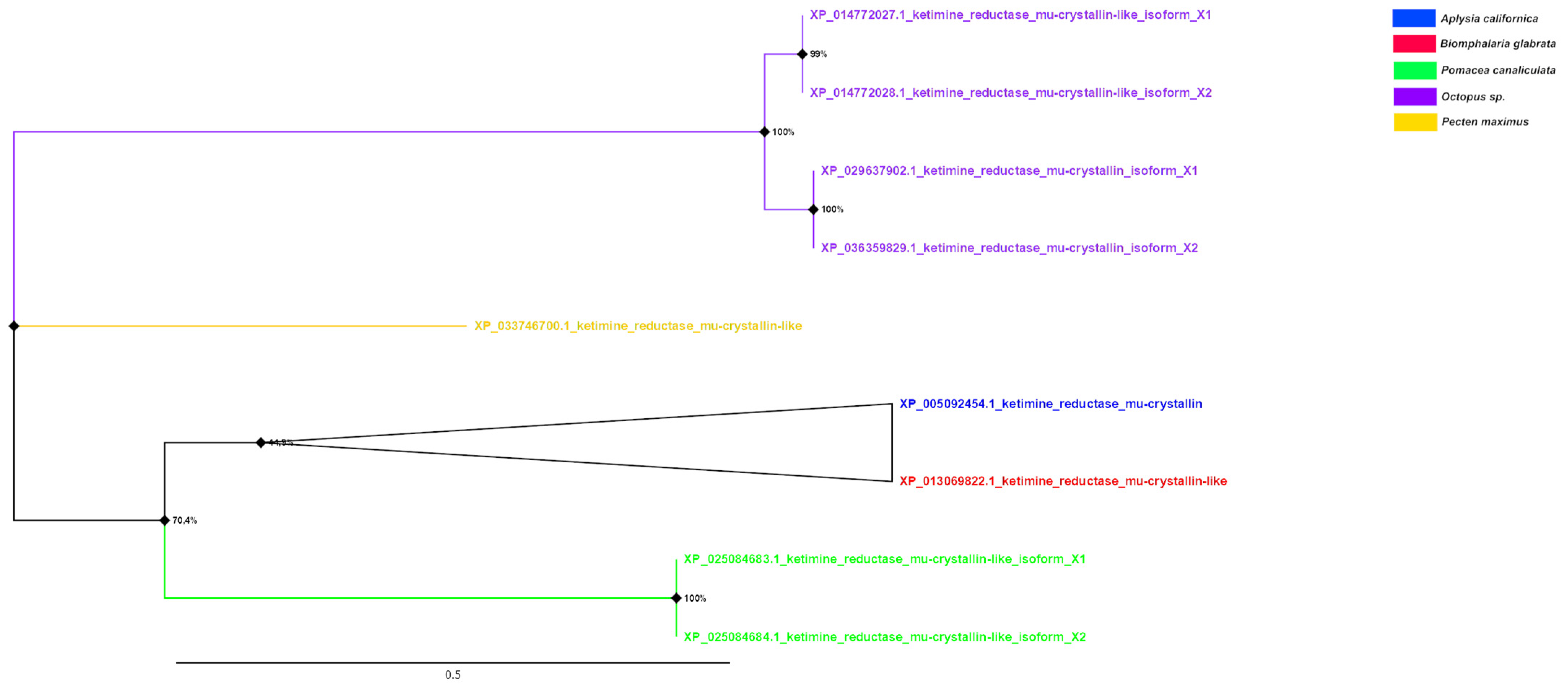 Diversity 14 00827 g008