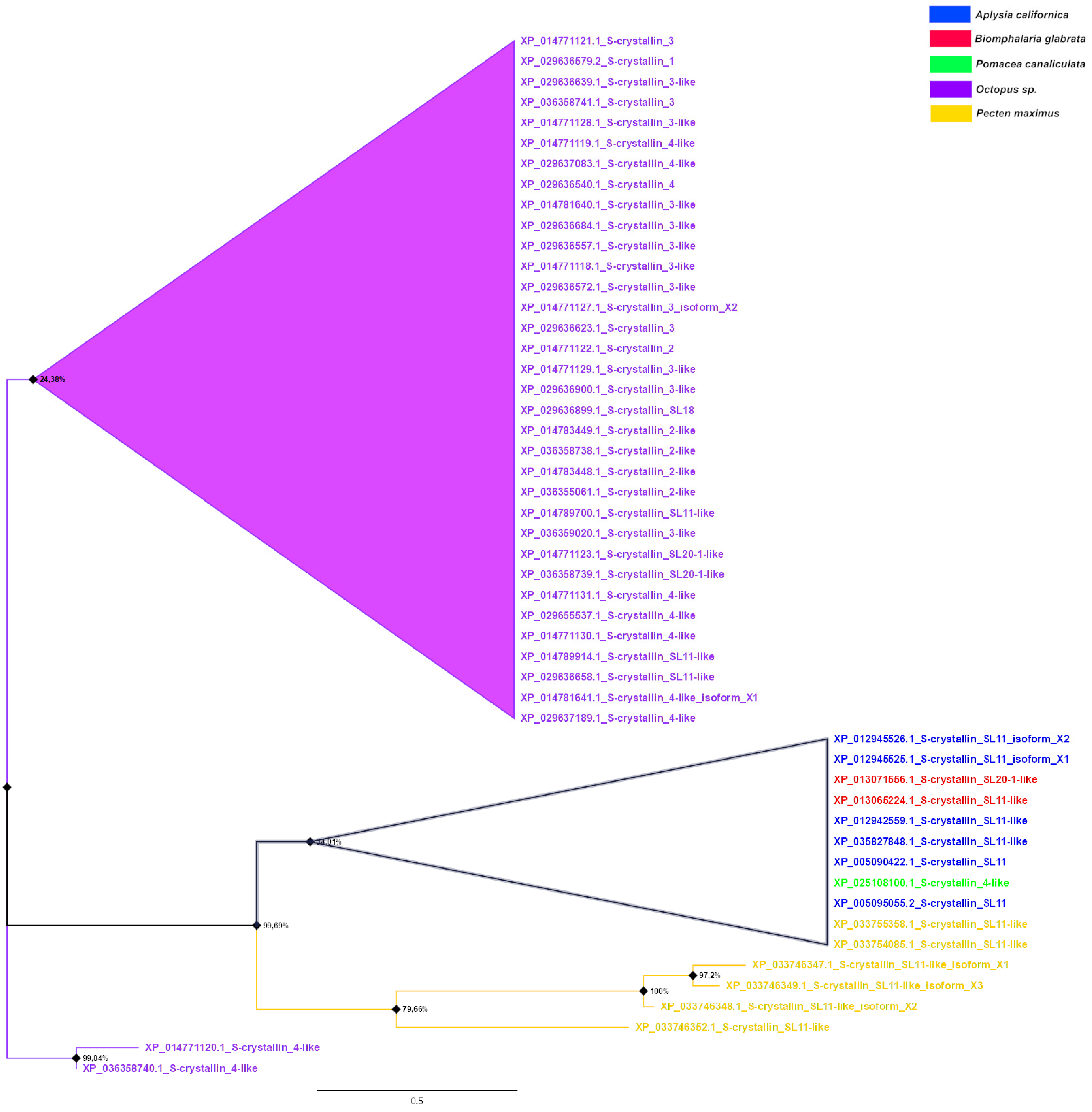 Diversity 14 00827 g009