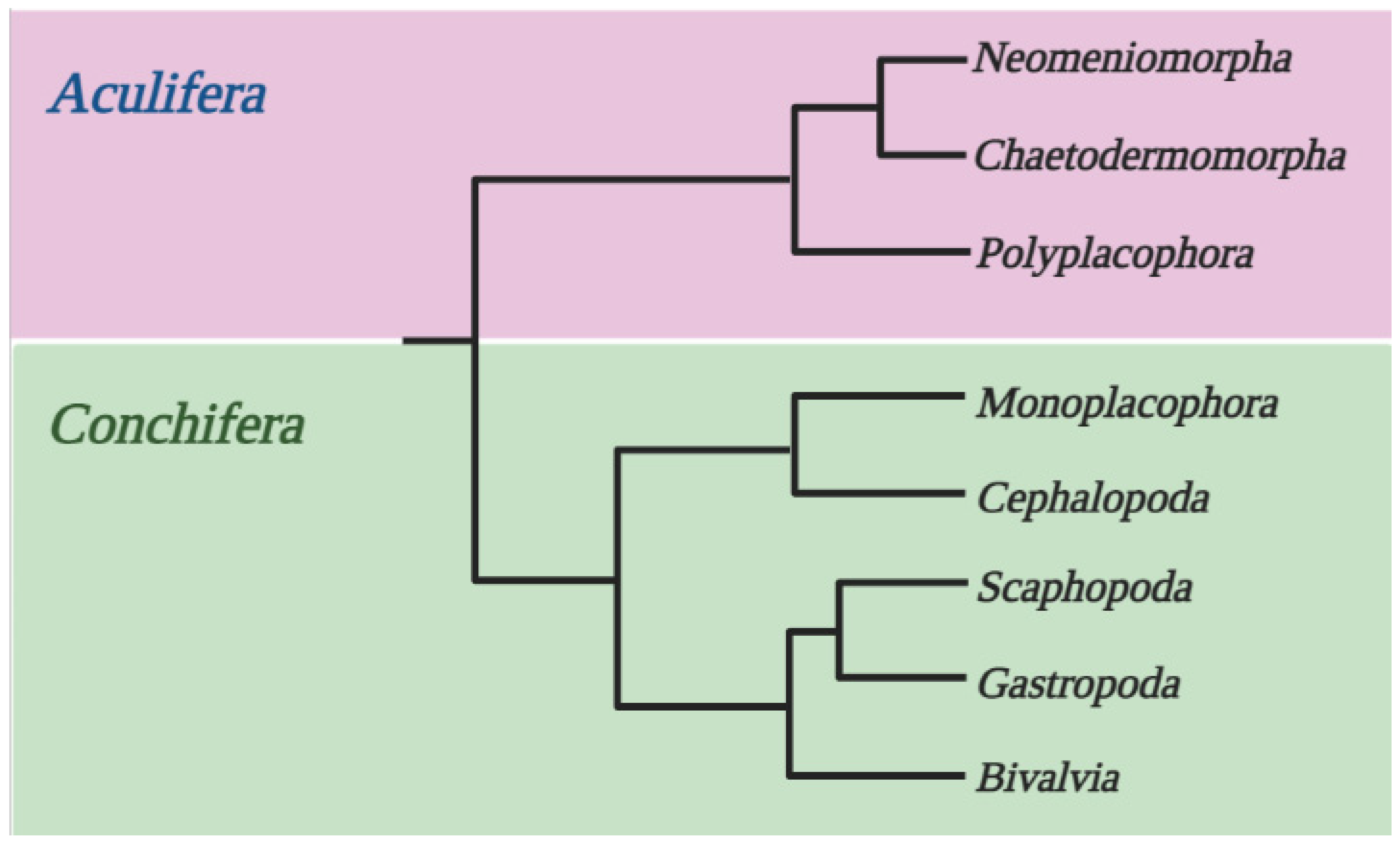 Diversity 14 00827 g010