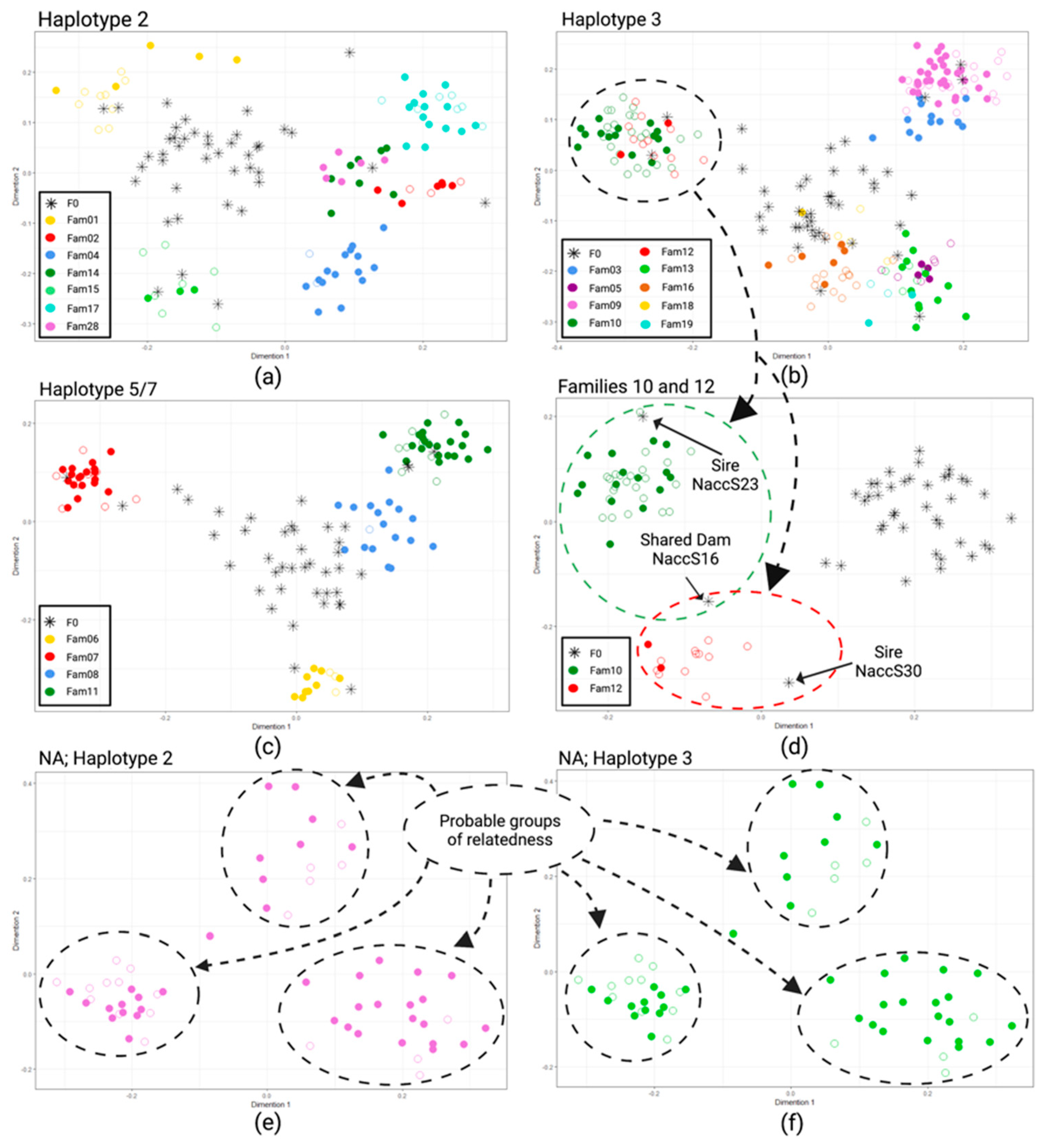 Diversity 14 00829 g002