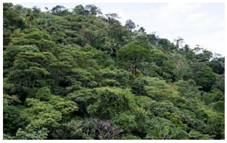 Diversity 14 00846 i001 Diversity 14 00846 i001