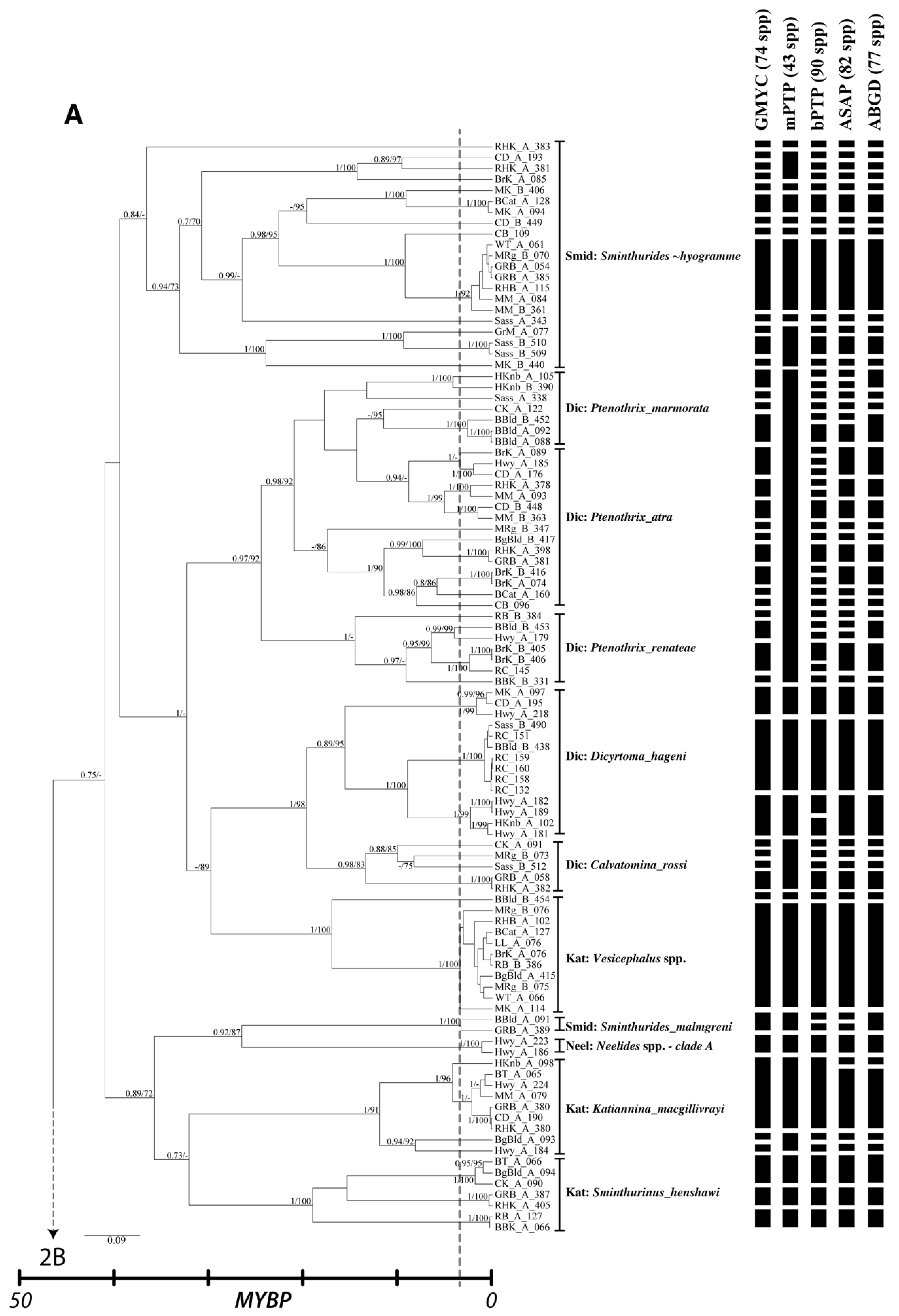Diversity 14 00847 g002a