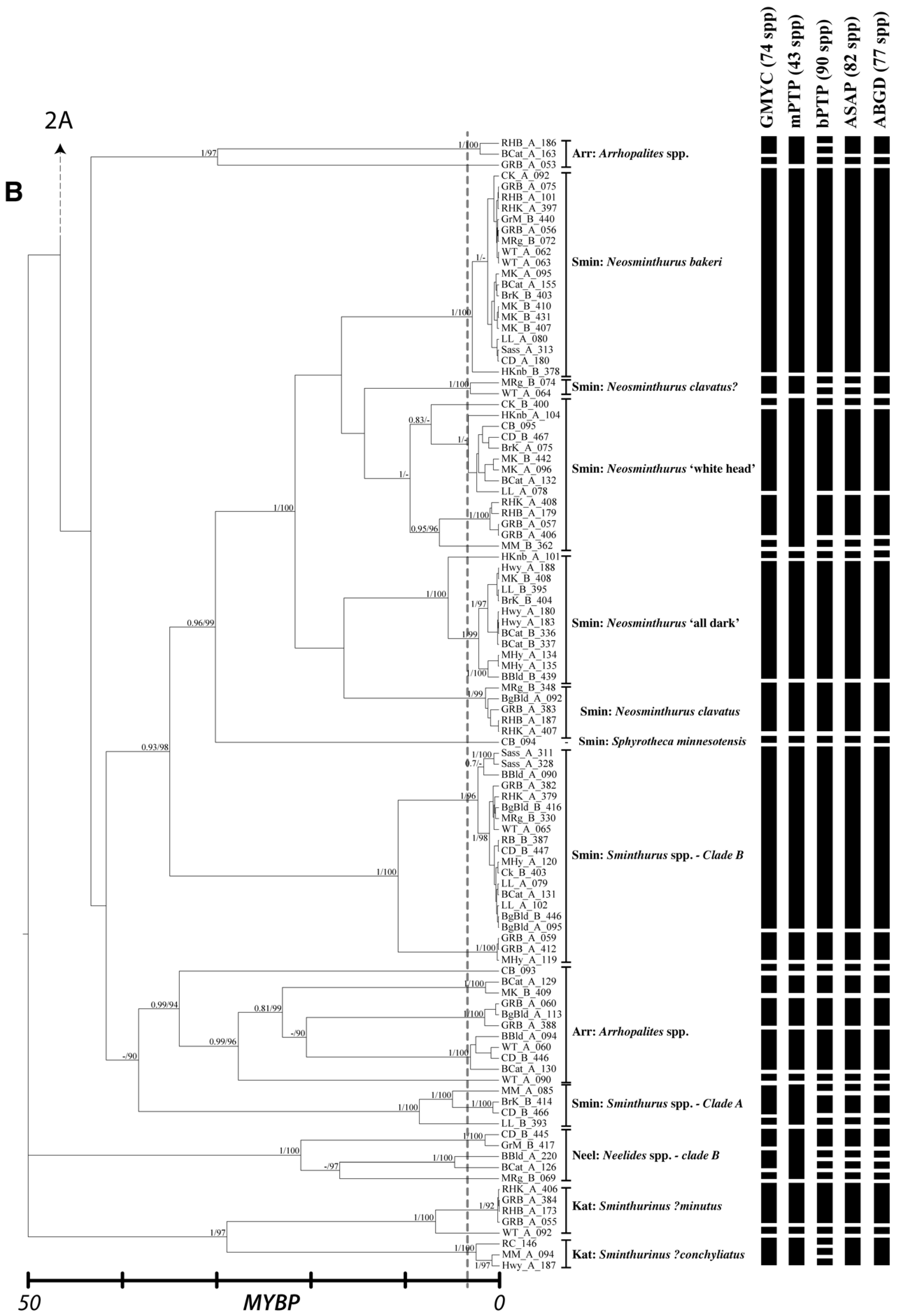 Diversity 14 00847 g002b
