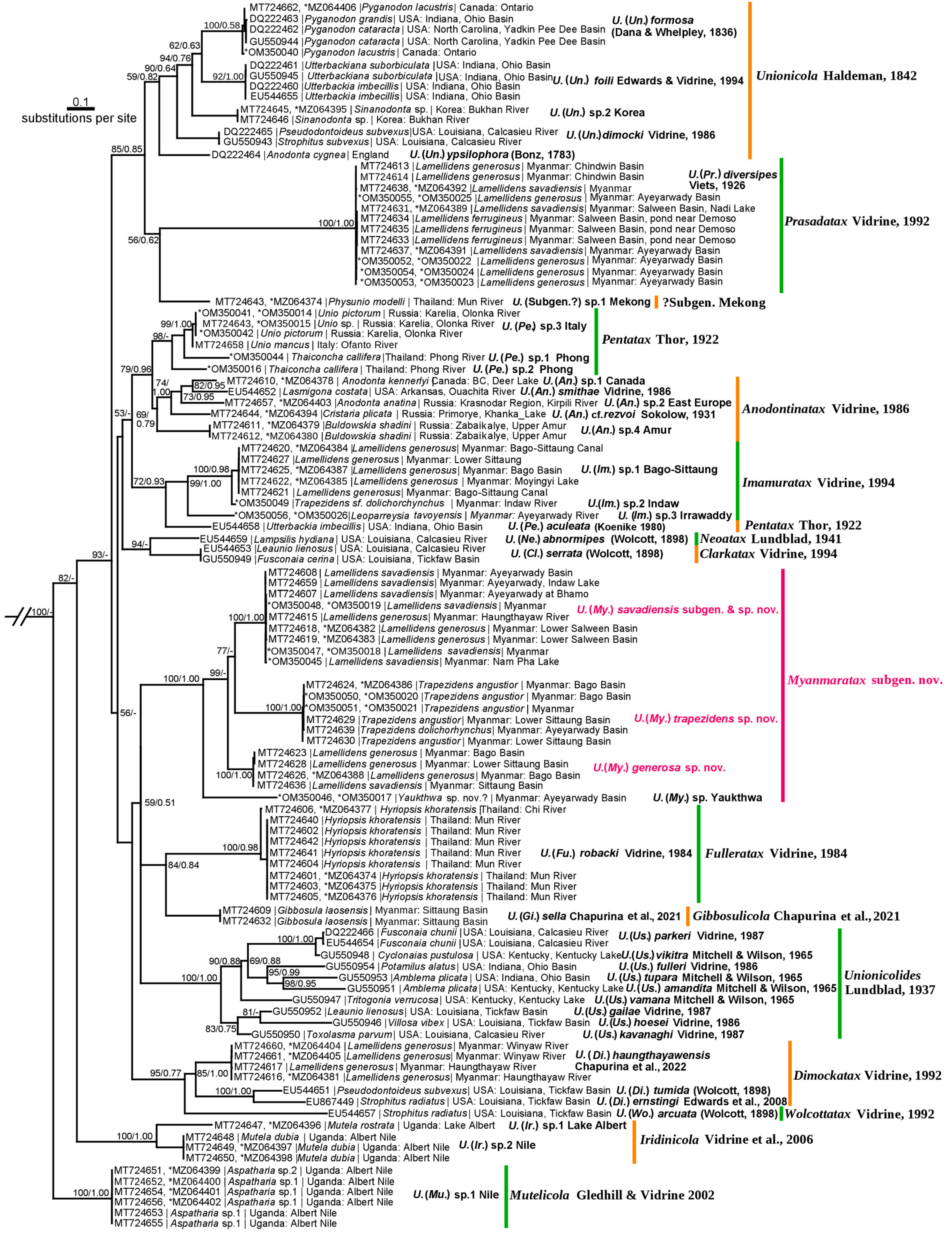 Diversity 14 00848 g002 Diversity 14 00848 g002