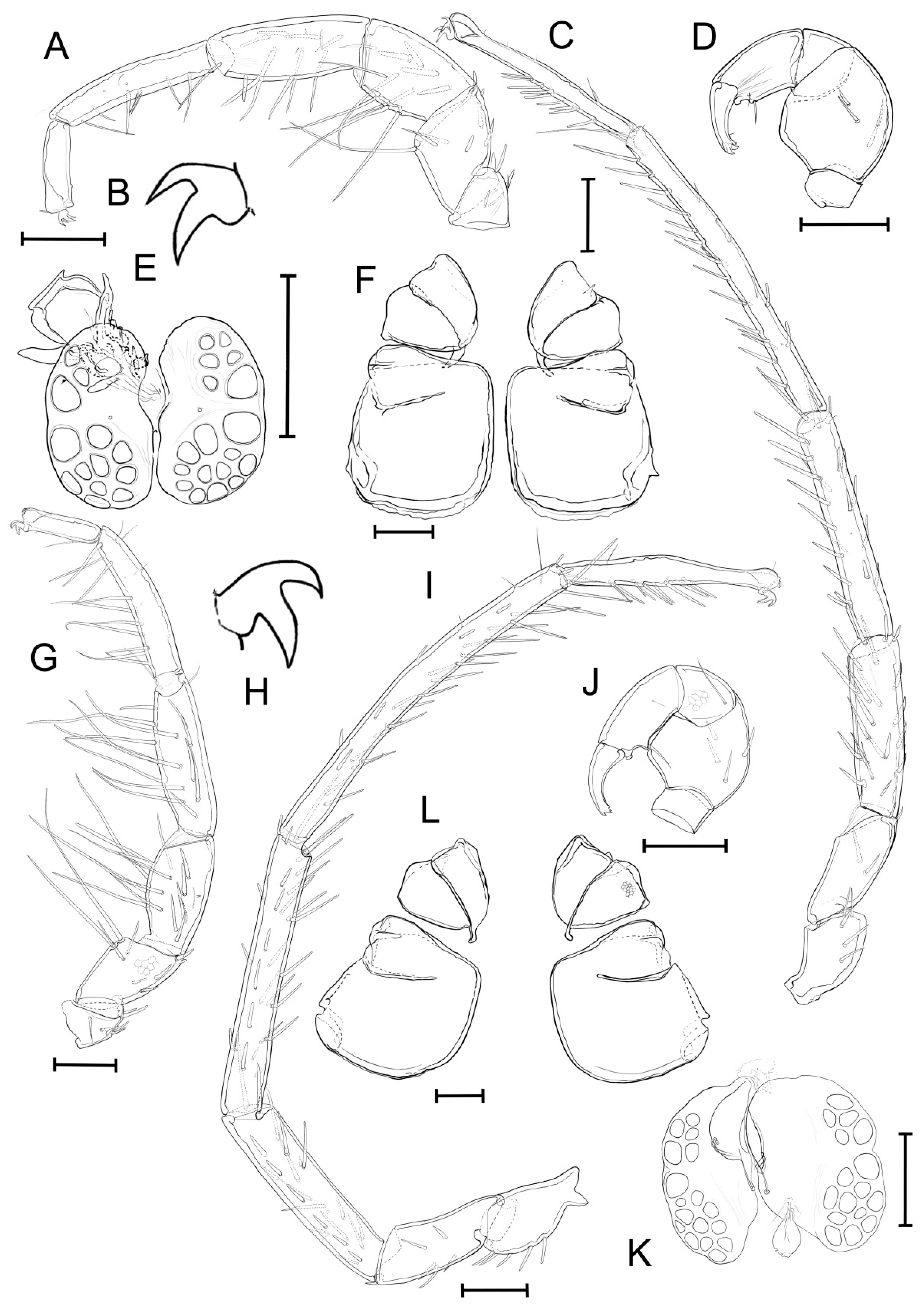 Diversity 14 00848 g006 Diversity 14 00848 g006