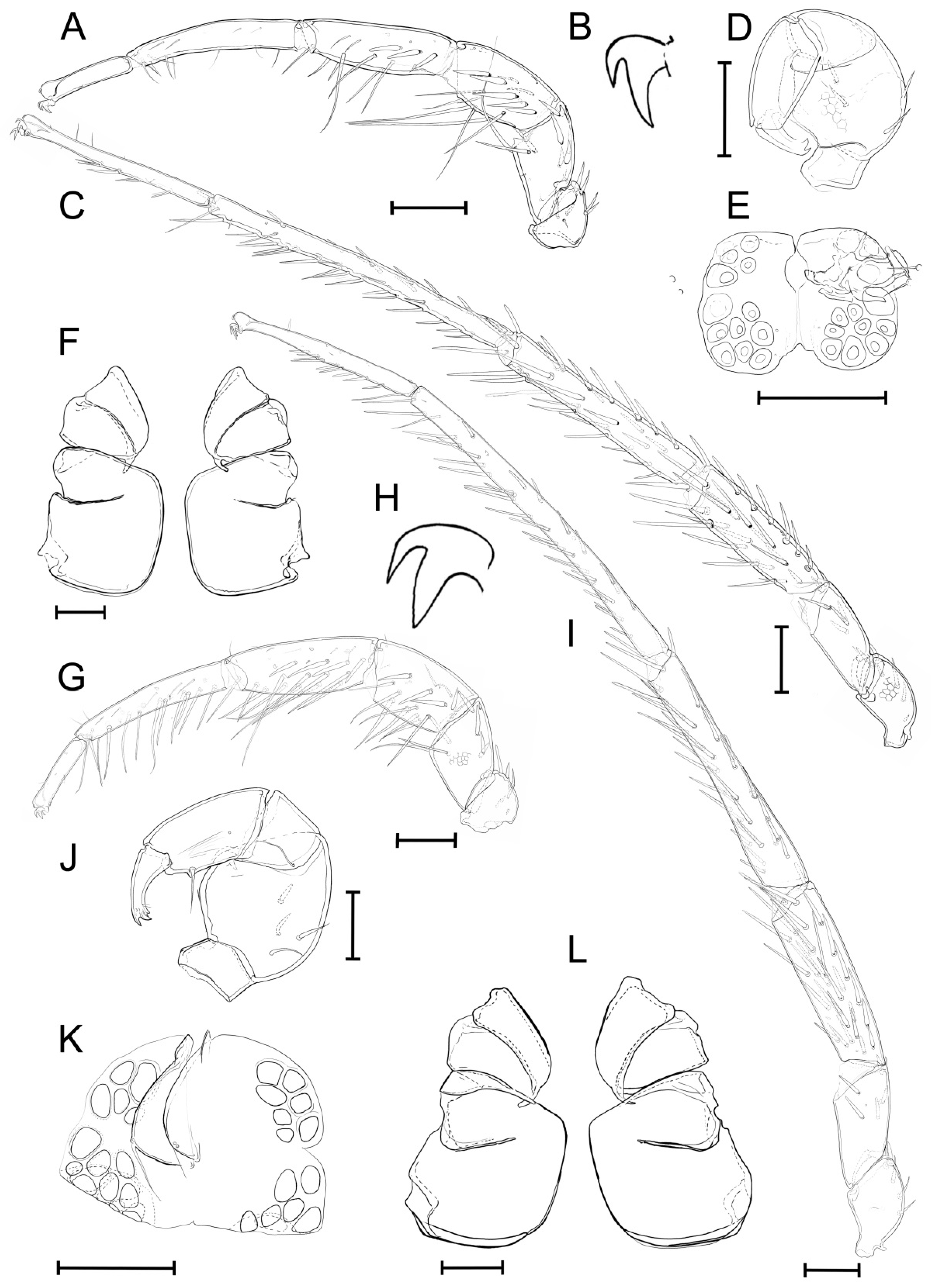 Diversity 14 00848 g007 Diversity 14 00848 g007