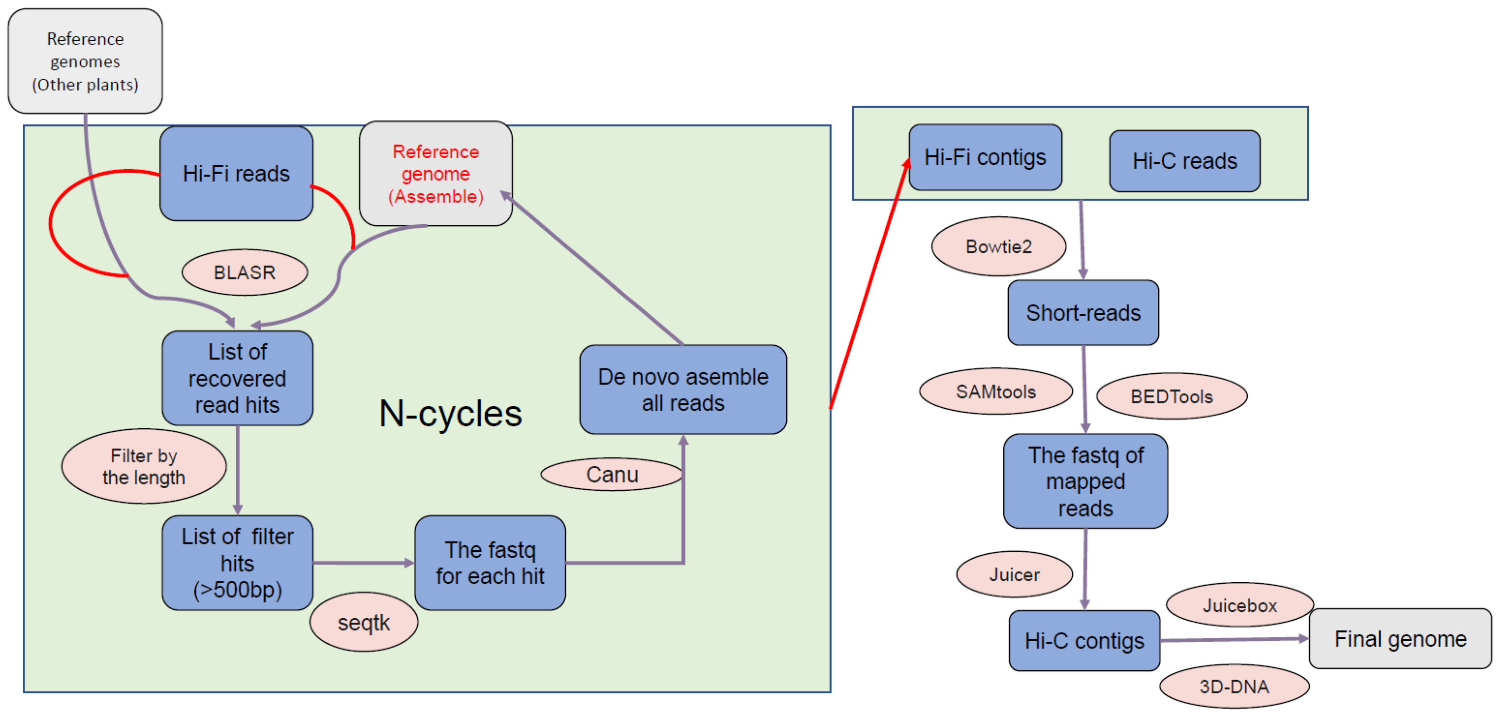 Diversity 14 00850 g001