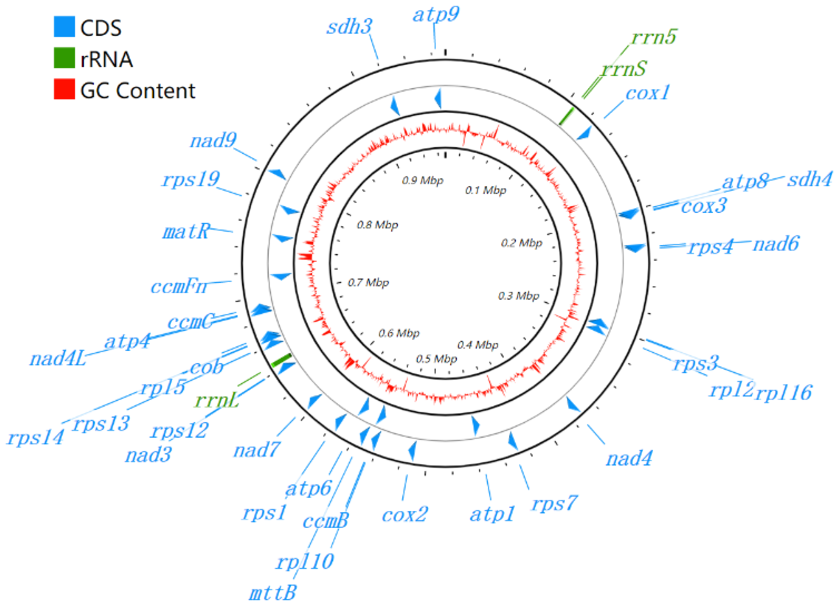 Diversity 14 00850 g002
