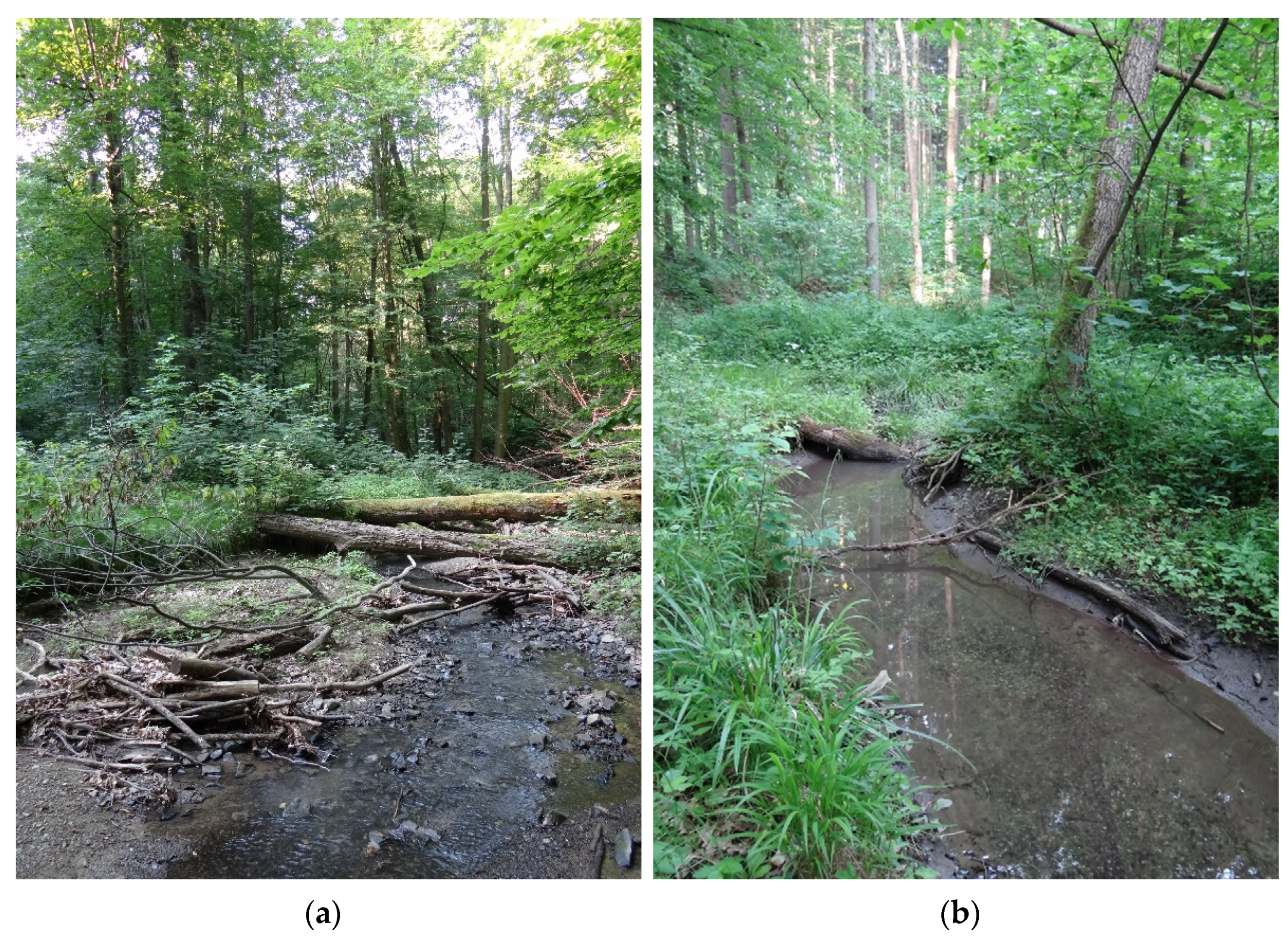 Diversity 14 00854 g004 Diversity 14 00854 g004