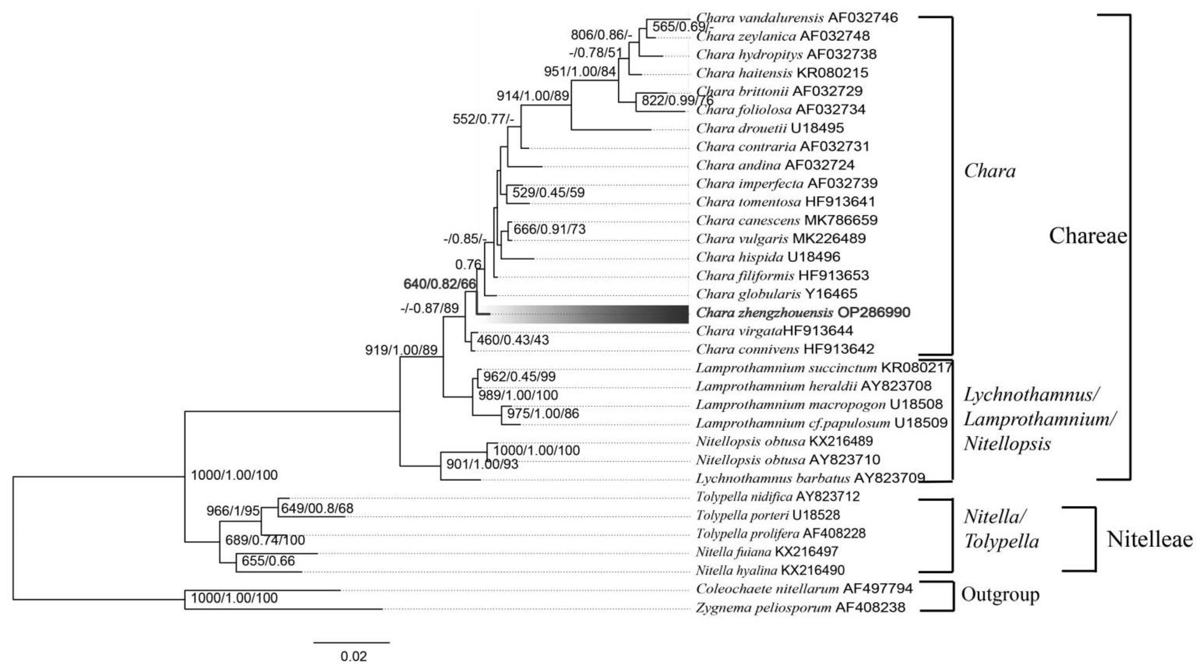 Diversity 14 00864 g004