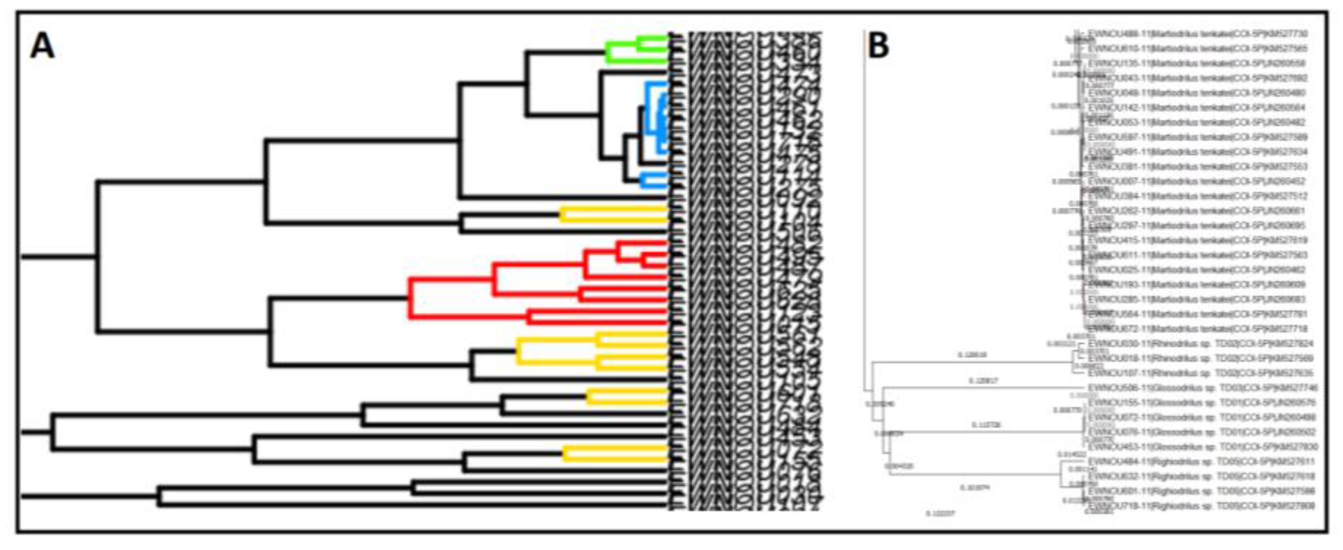 Diversity 14 00866 g002