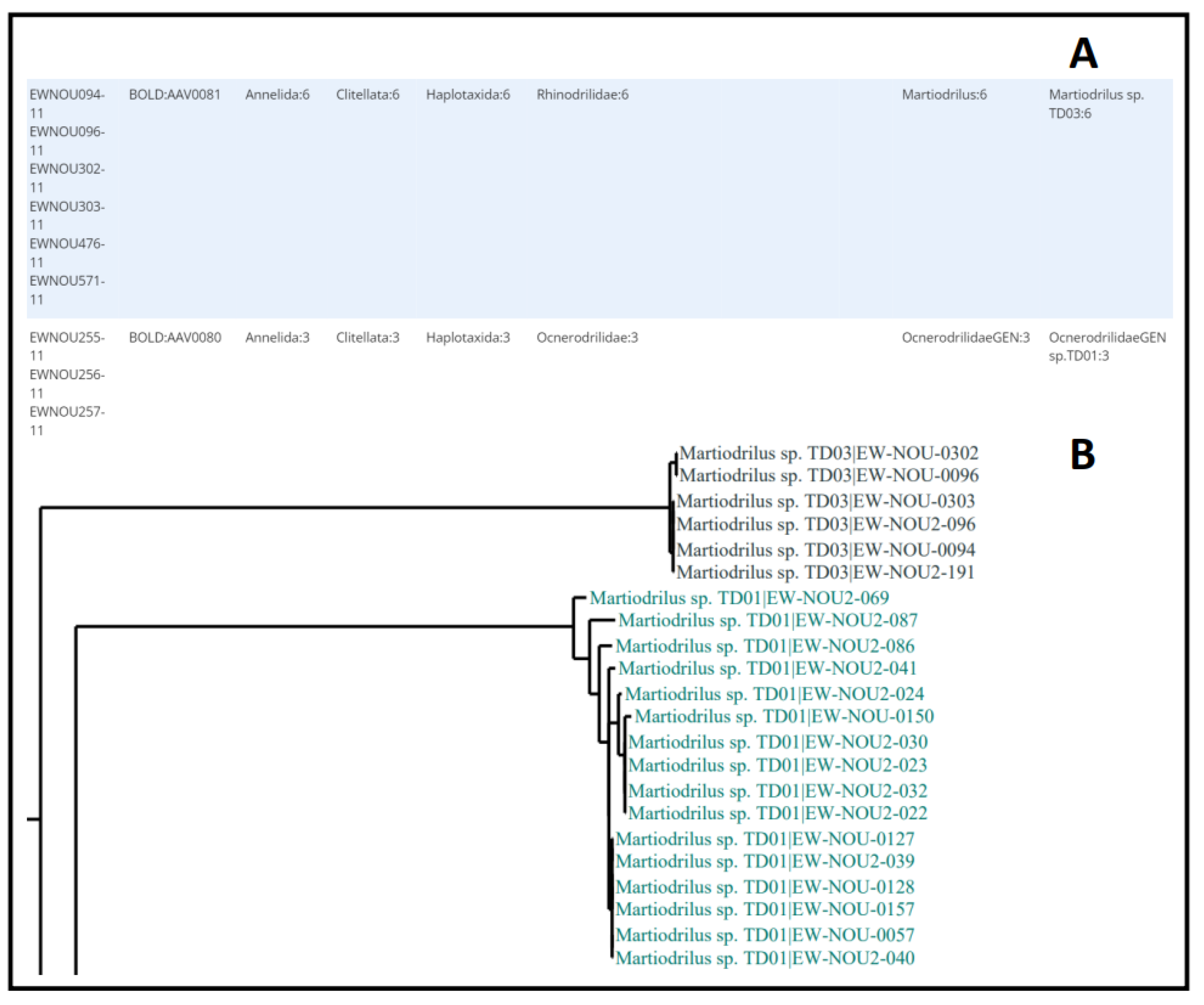 Diversity 14 00866 g003