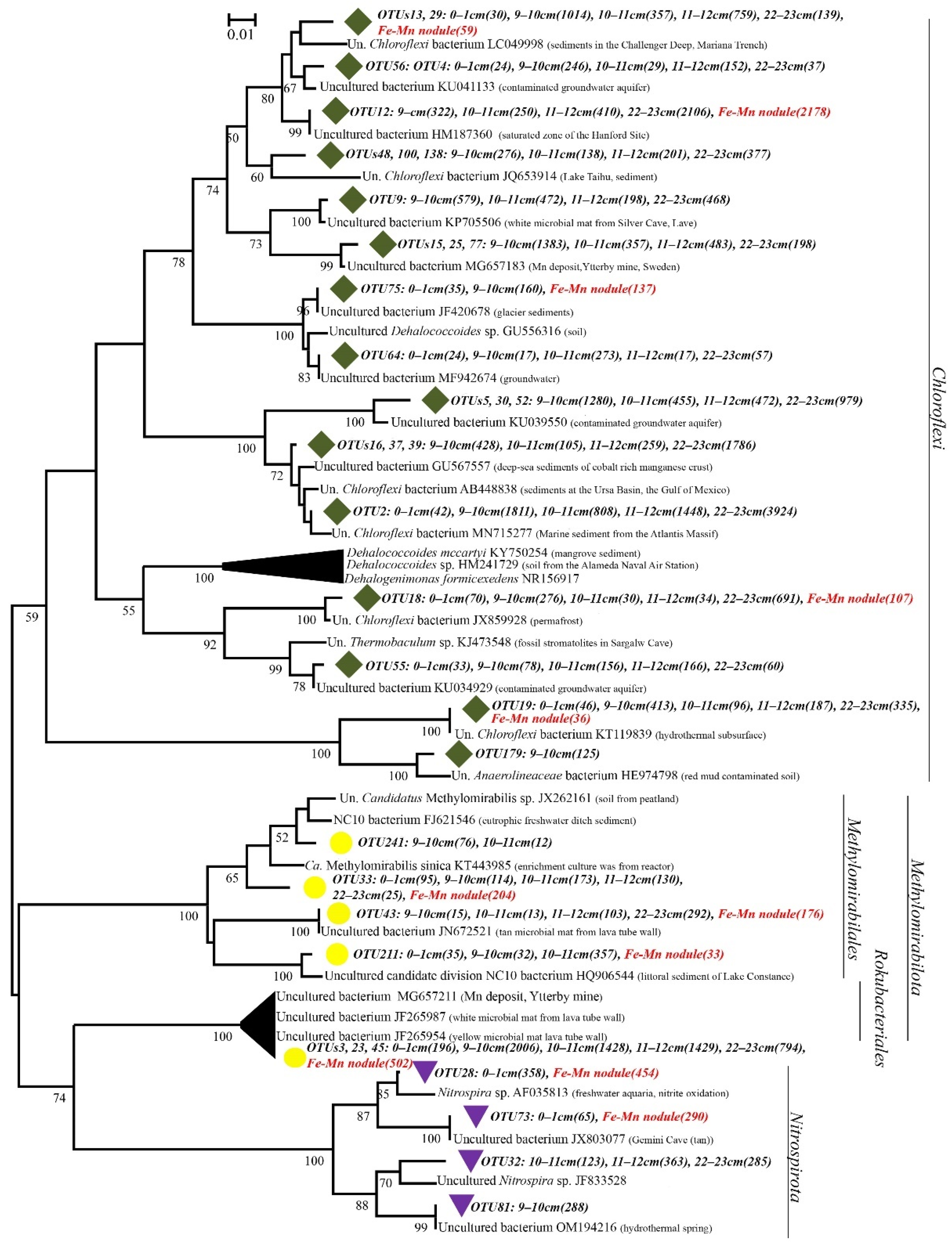 Diversity 14 00868 g007 Diversity 14 00868 g007