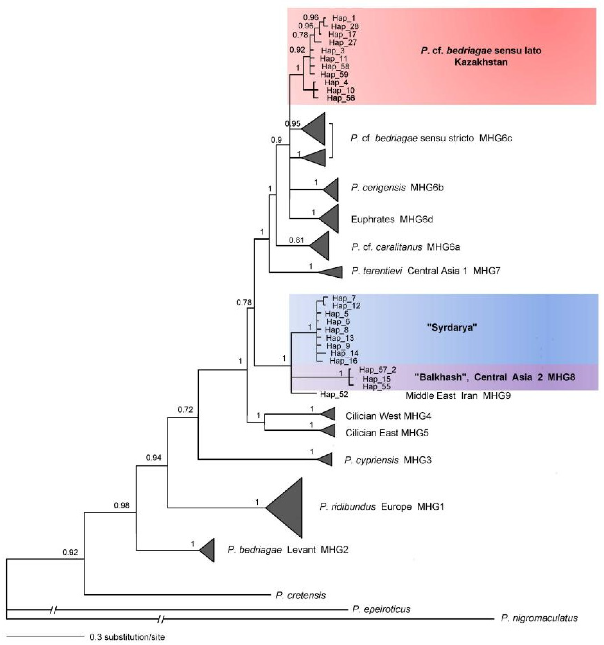 Diversity 14 00869 g002 Diversity 14 00869 g002