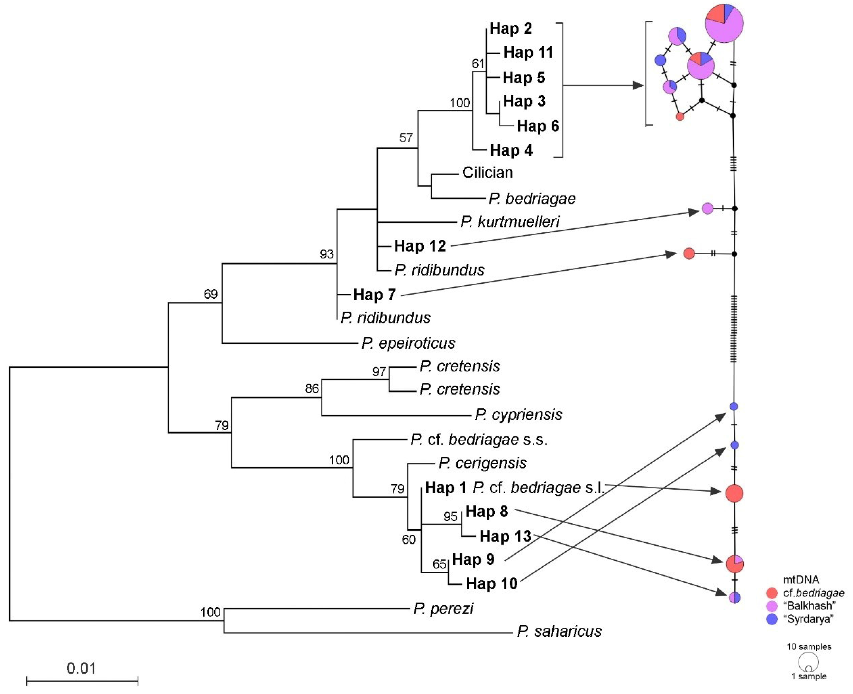 Diversity 14 00869 g004 Diversity 14 00869 g004