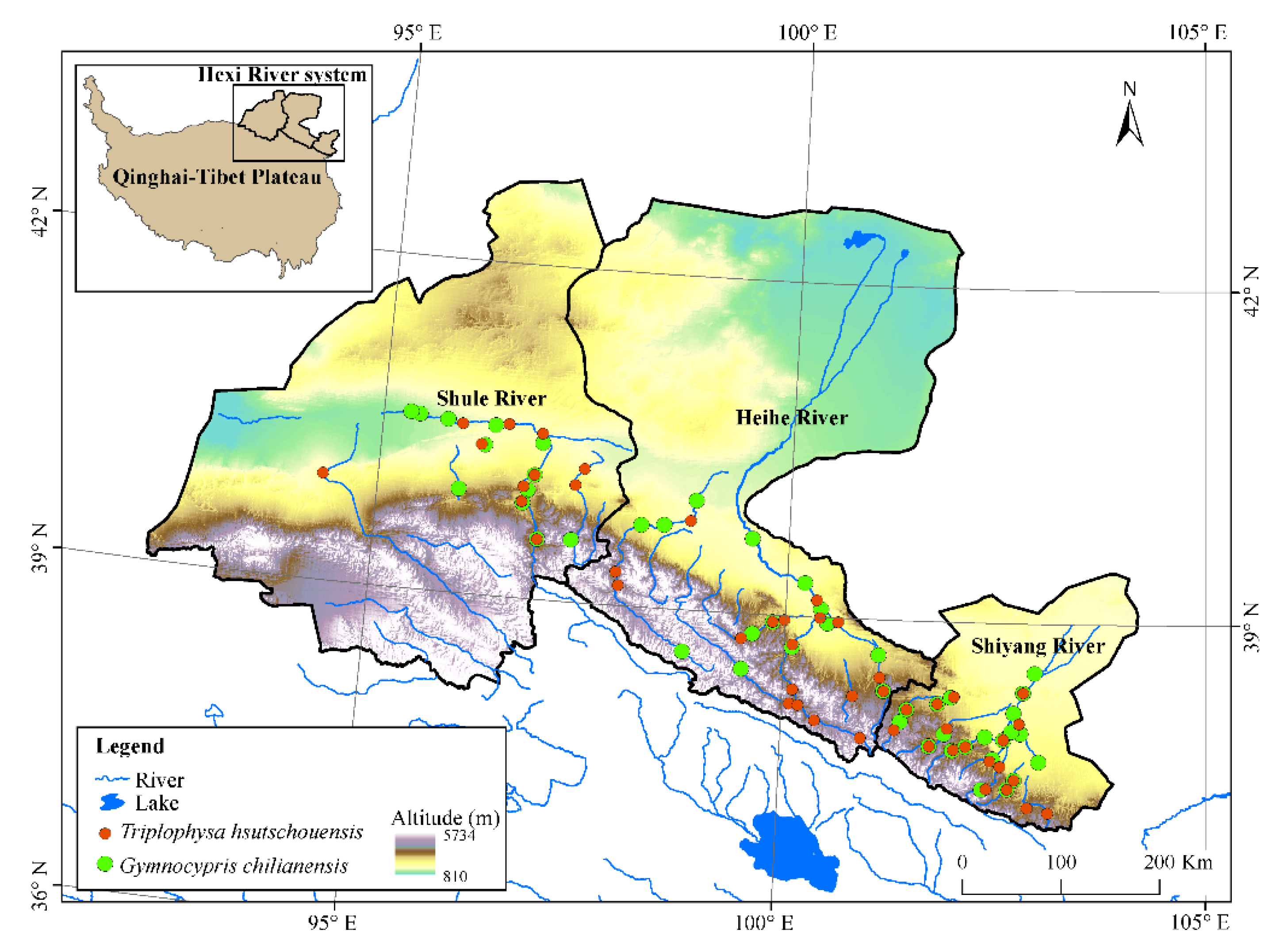 Diversity 14 00877 g001 Diversity 14 00877 g001