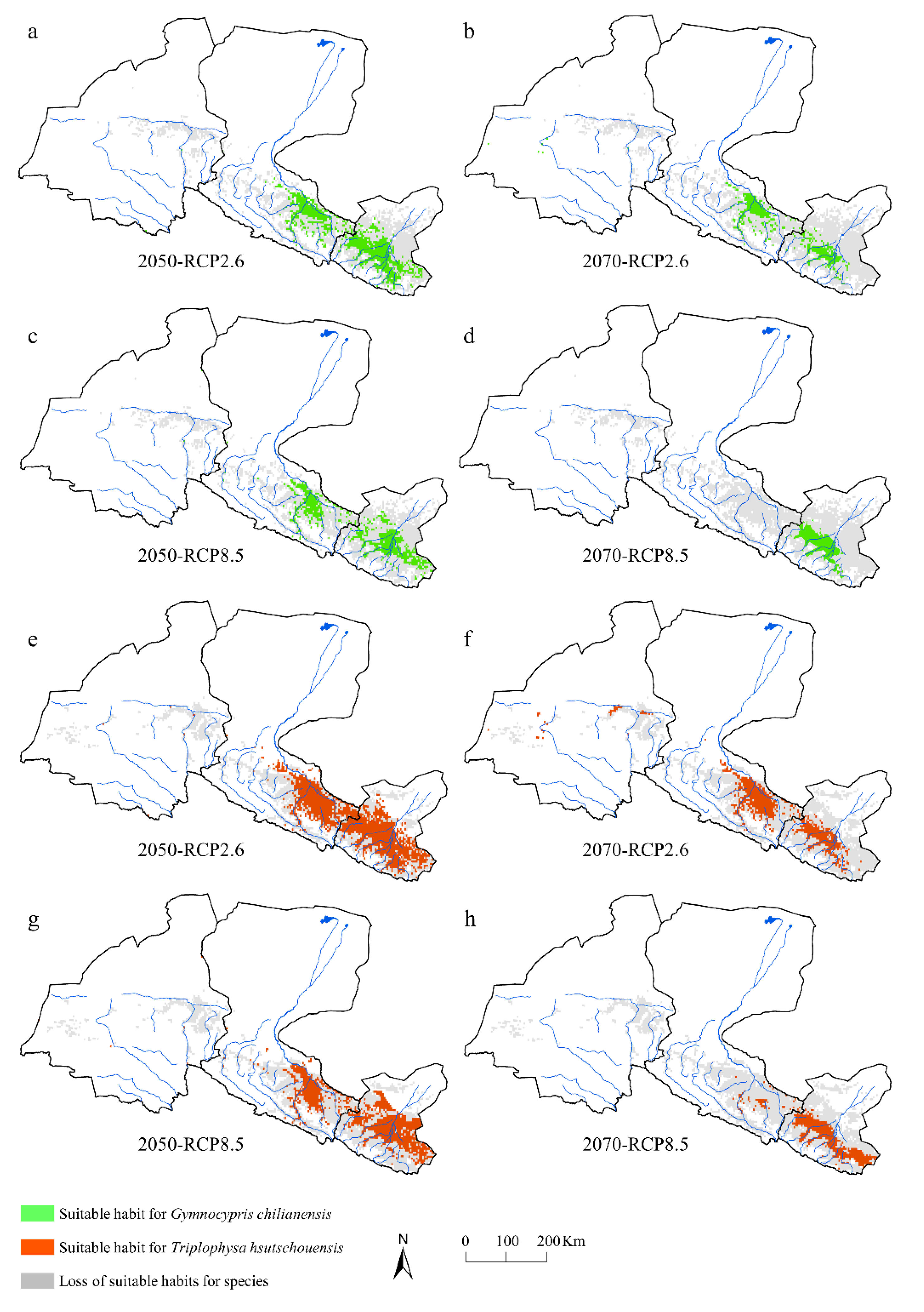 Diversity 14 00877 g004 Diversity 14 00877 g004