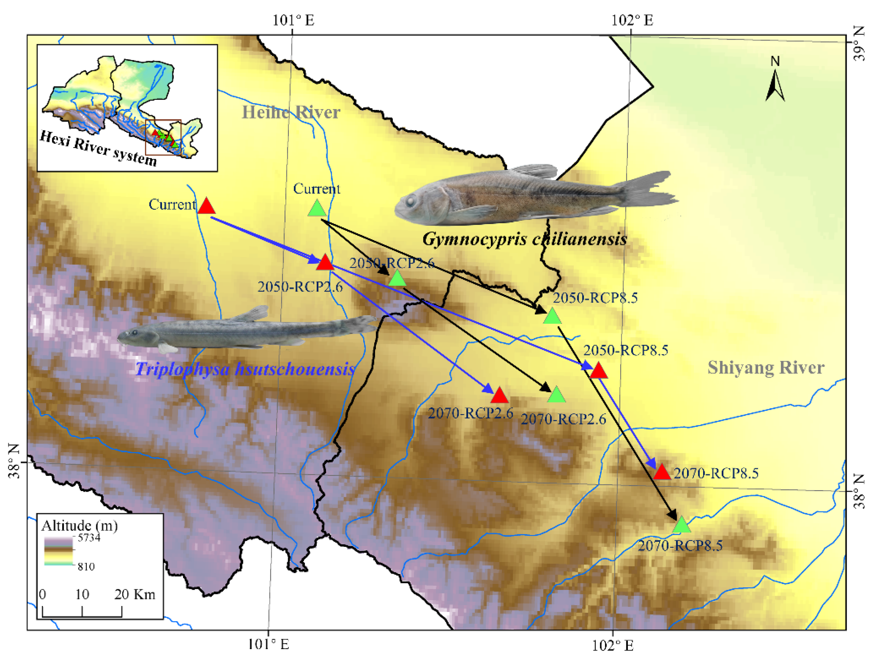 Diversity 14 00877 g005 Diversity 14 00877 g005